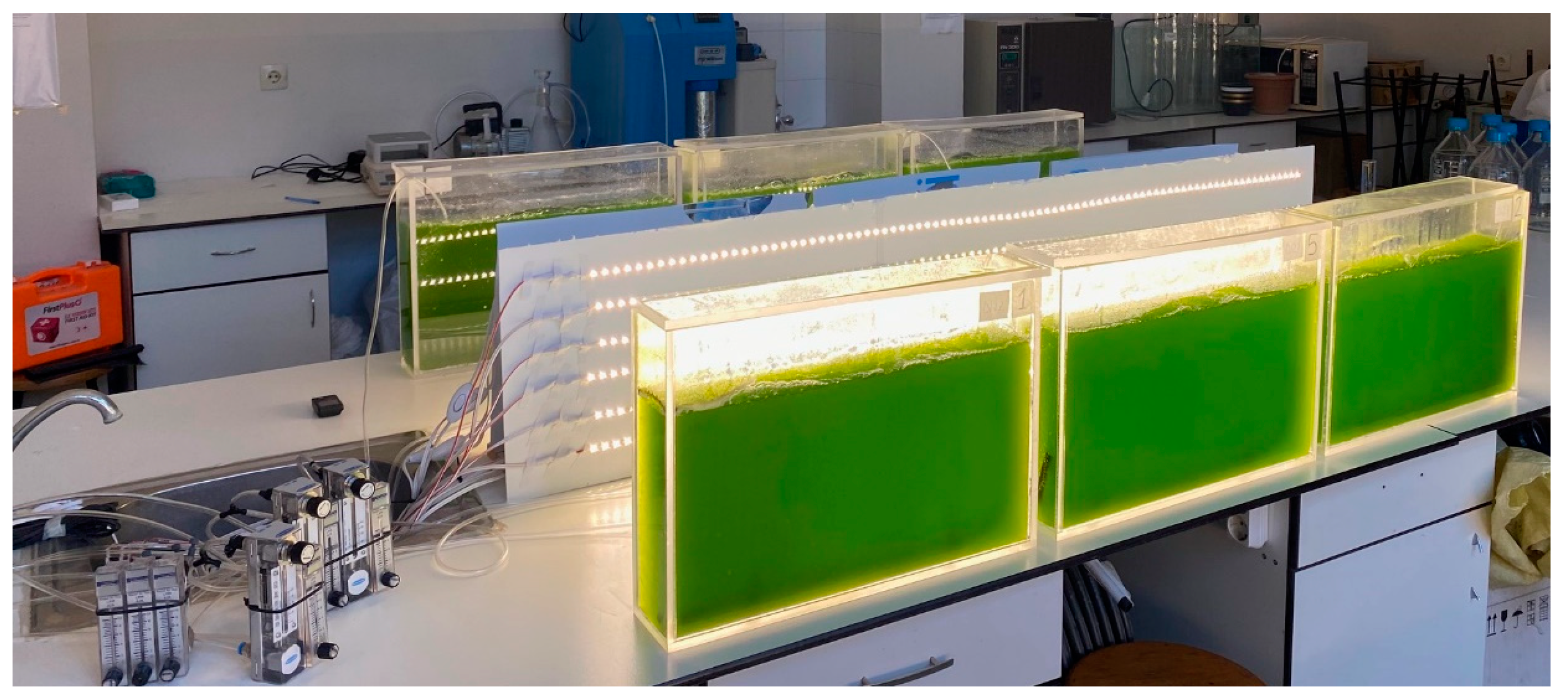 Animals 13 03431 g001