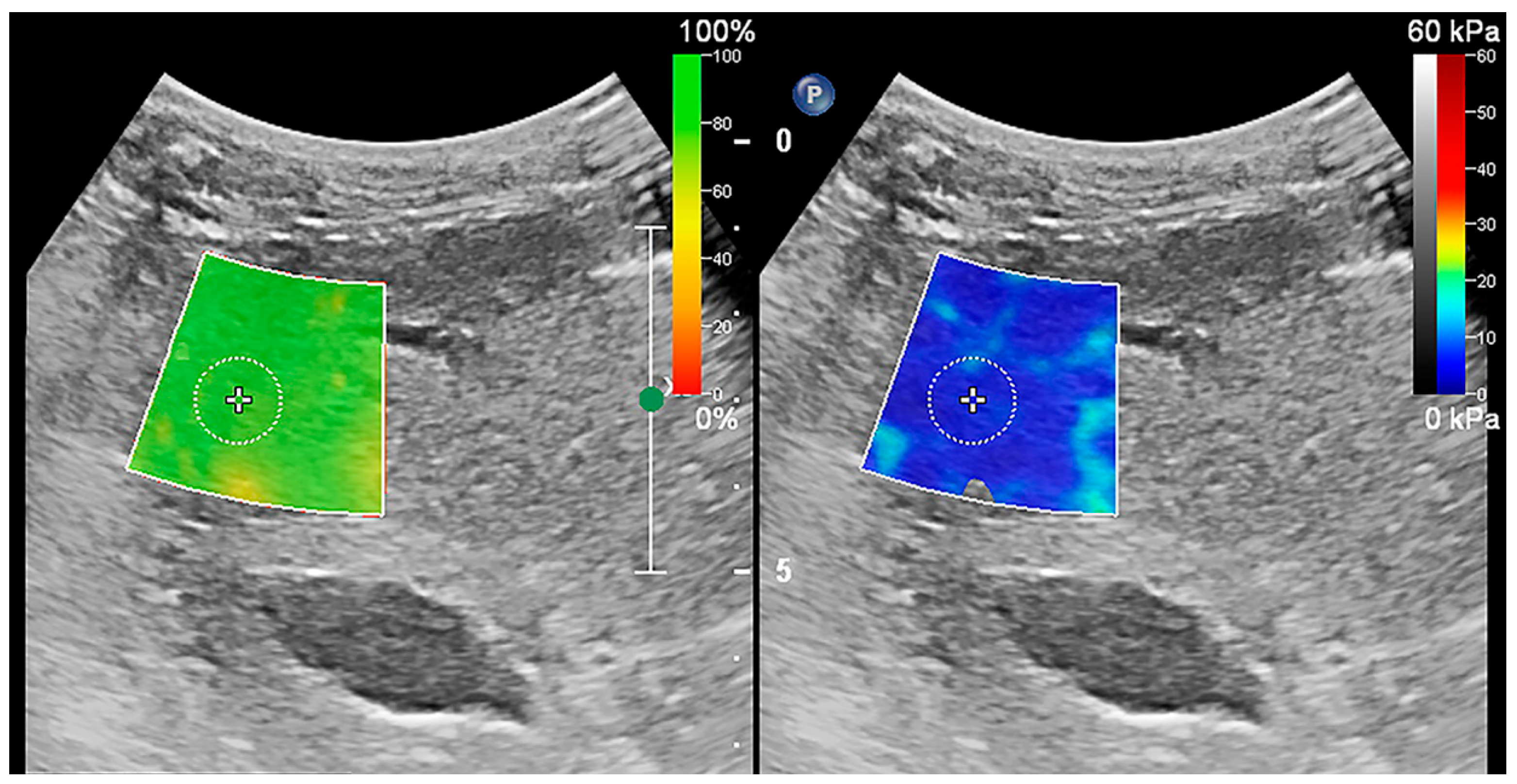 Animals 13 03446 g001