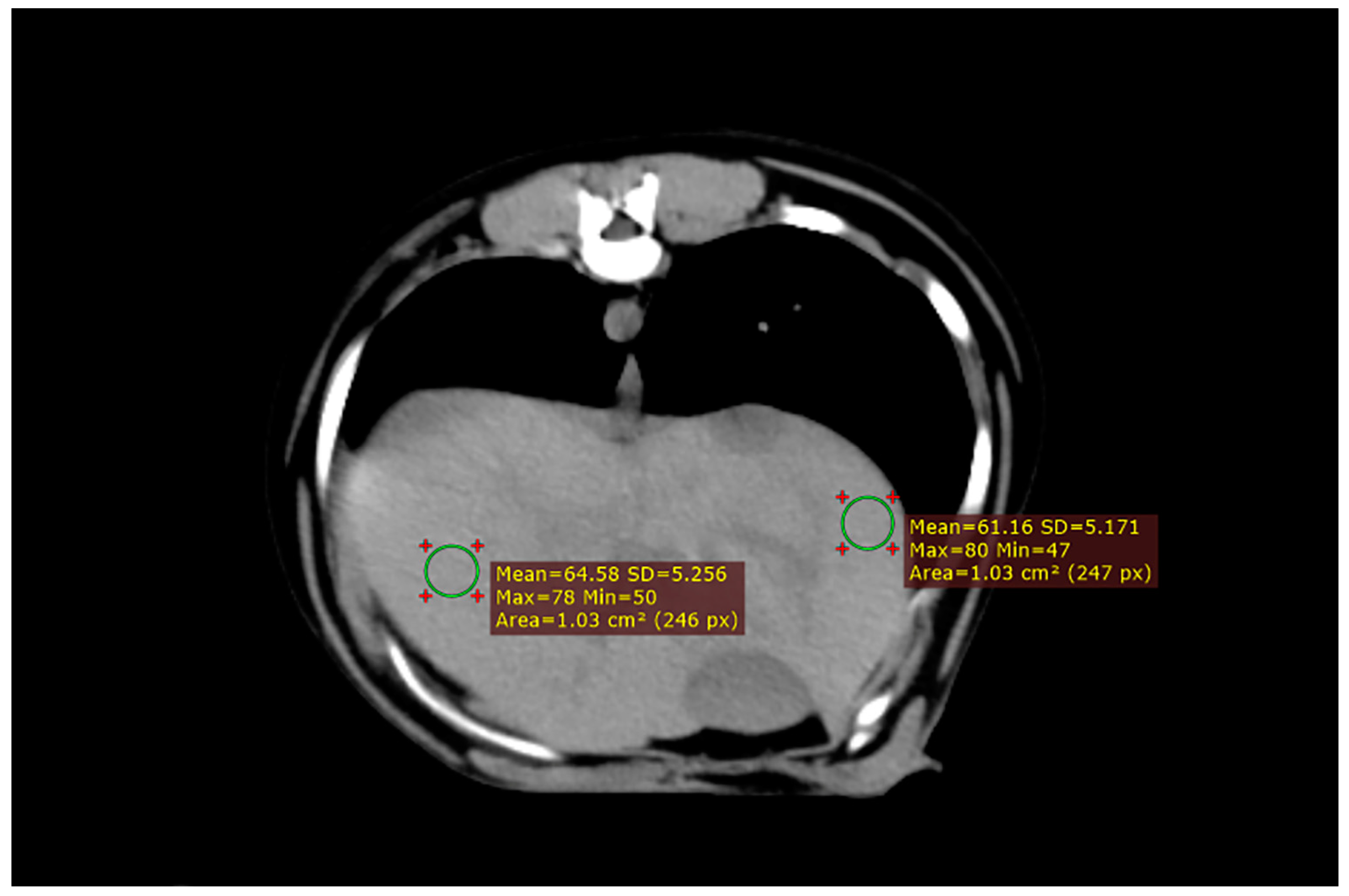 Animals 13 03446 g002