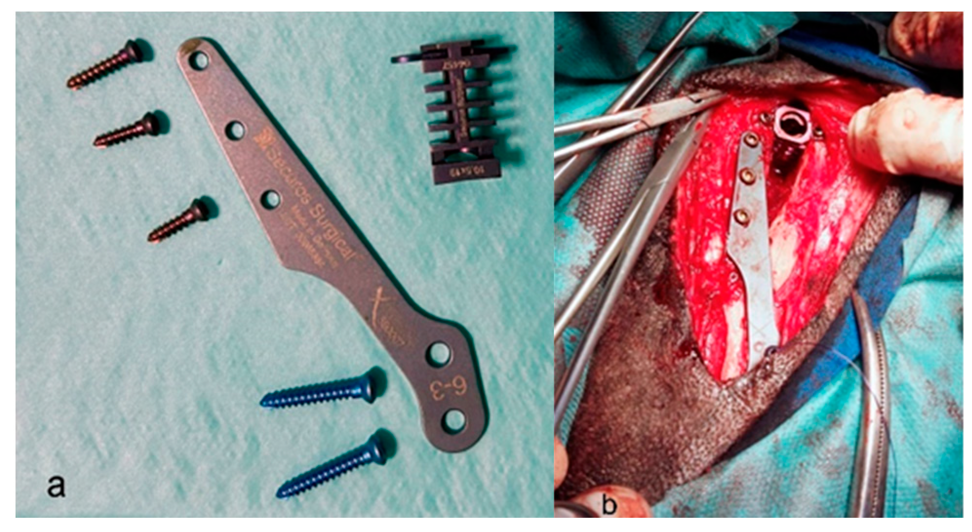 Animals 13 03453 g001