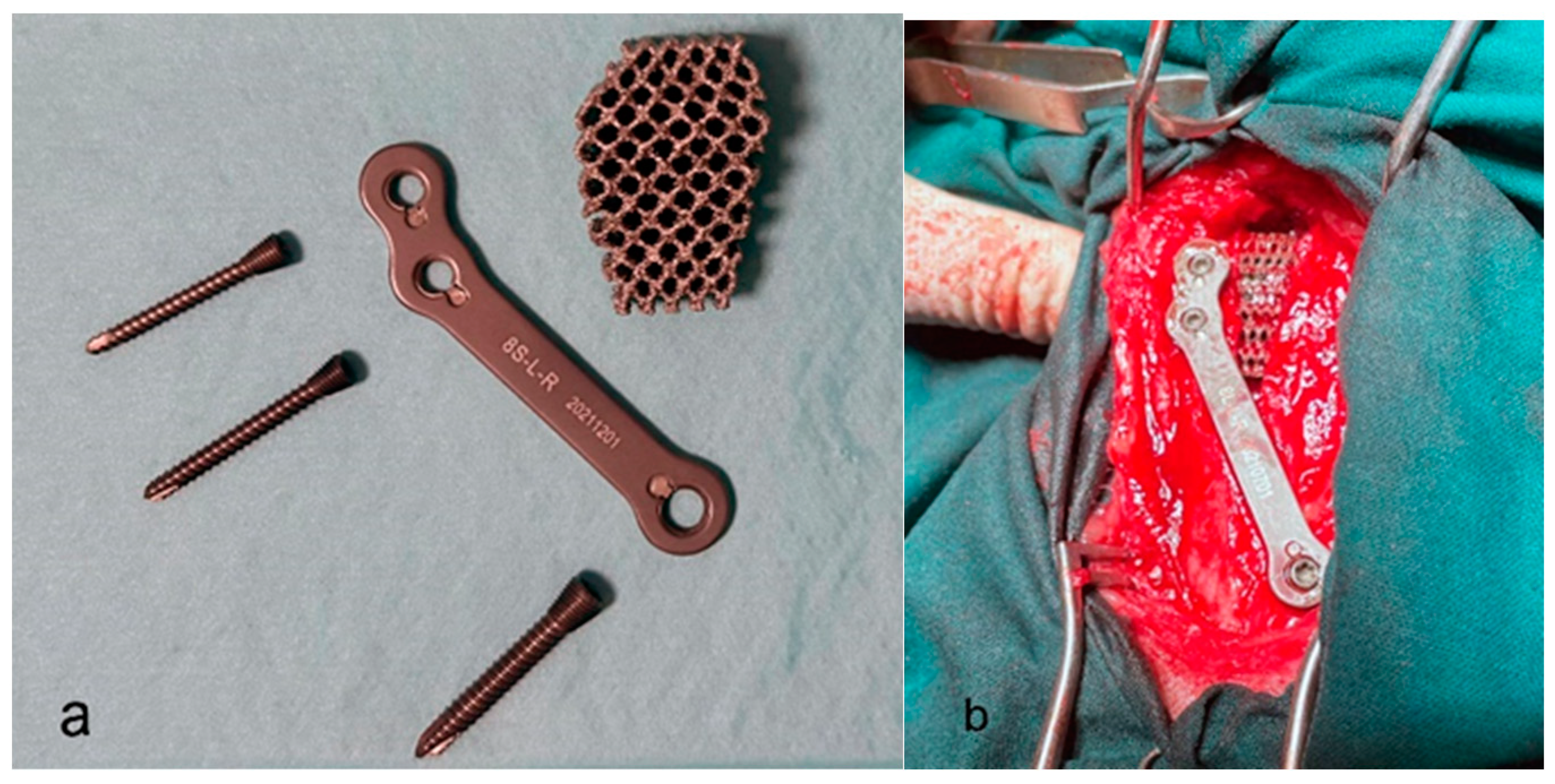 Animals 13 03453 g002