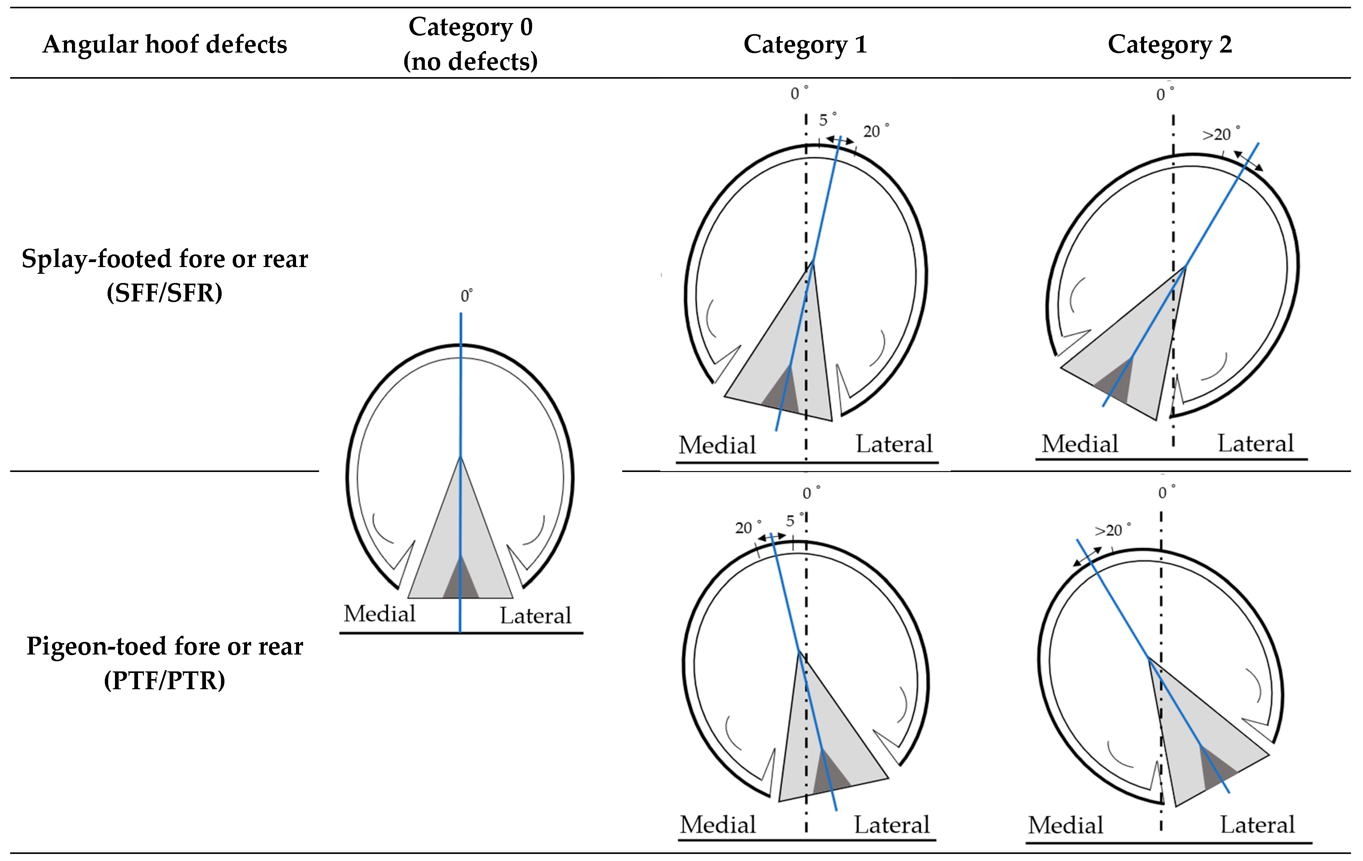 Animals 13 03471 g001