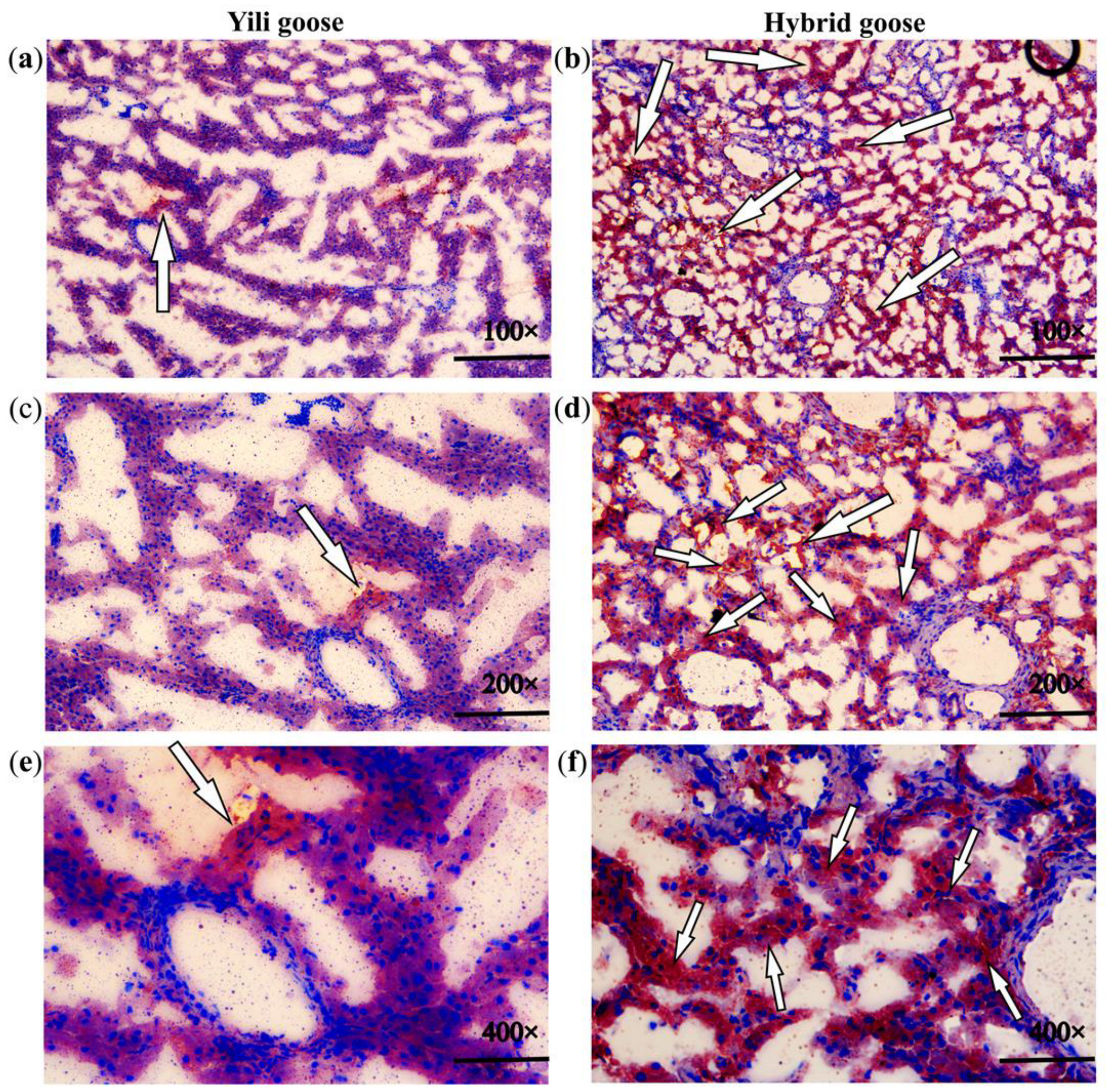 Animals 13 03473 g002