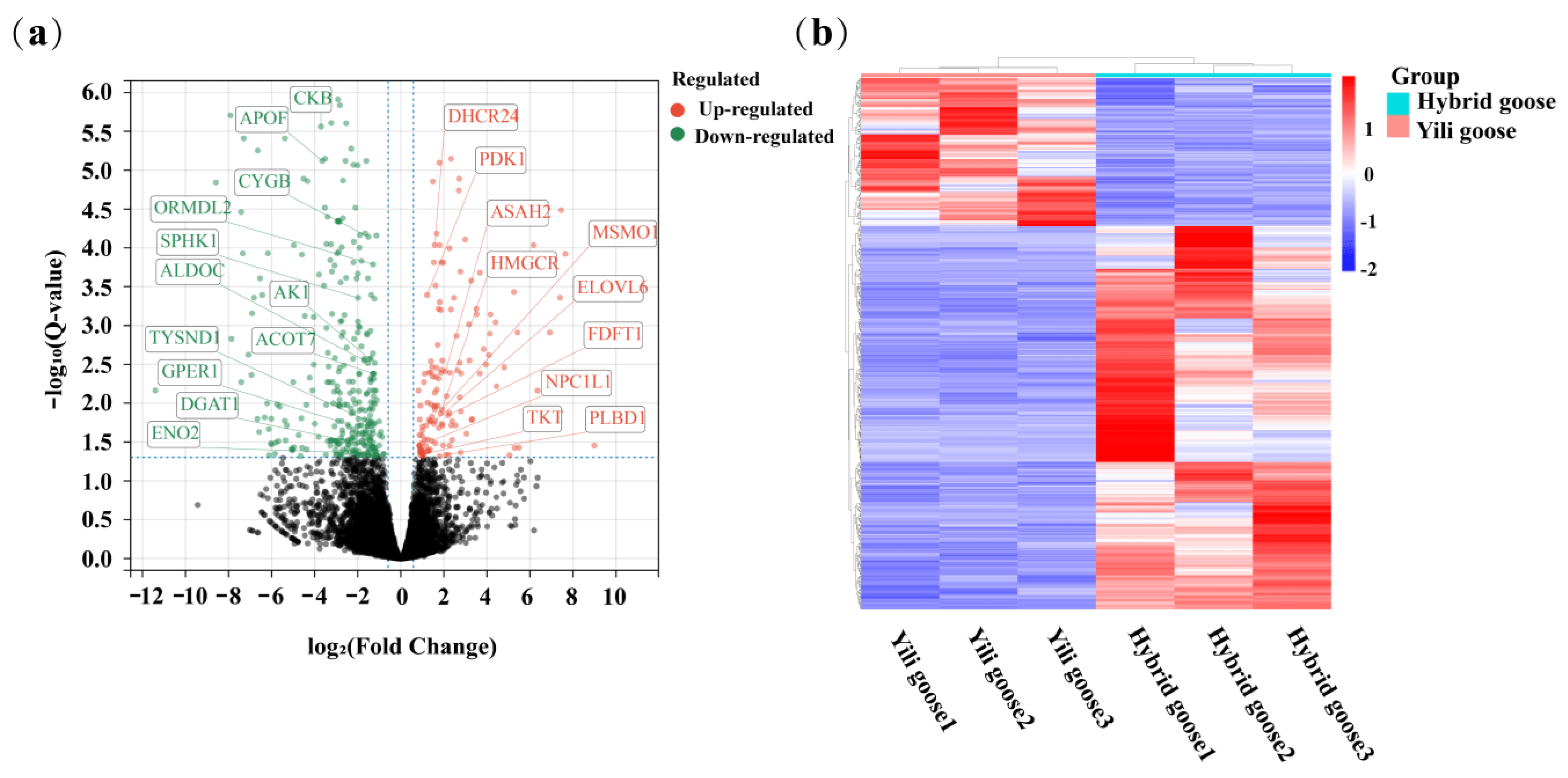 Animals 13 03473 g003