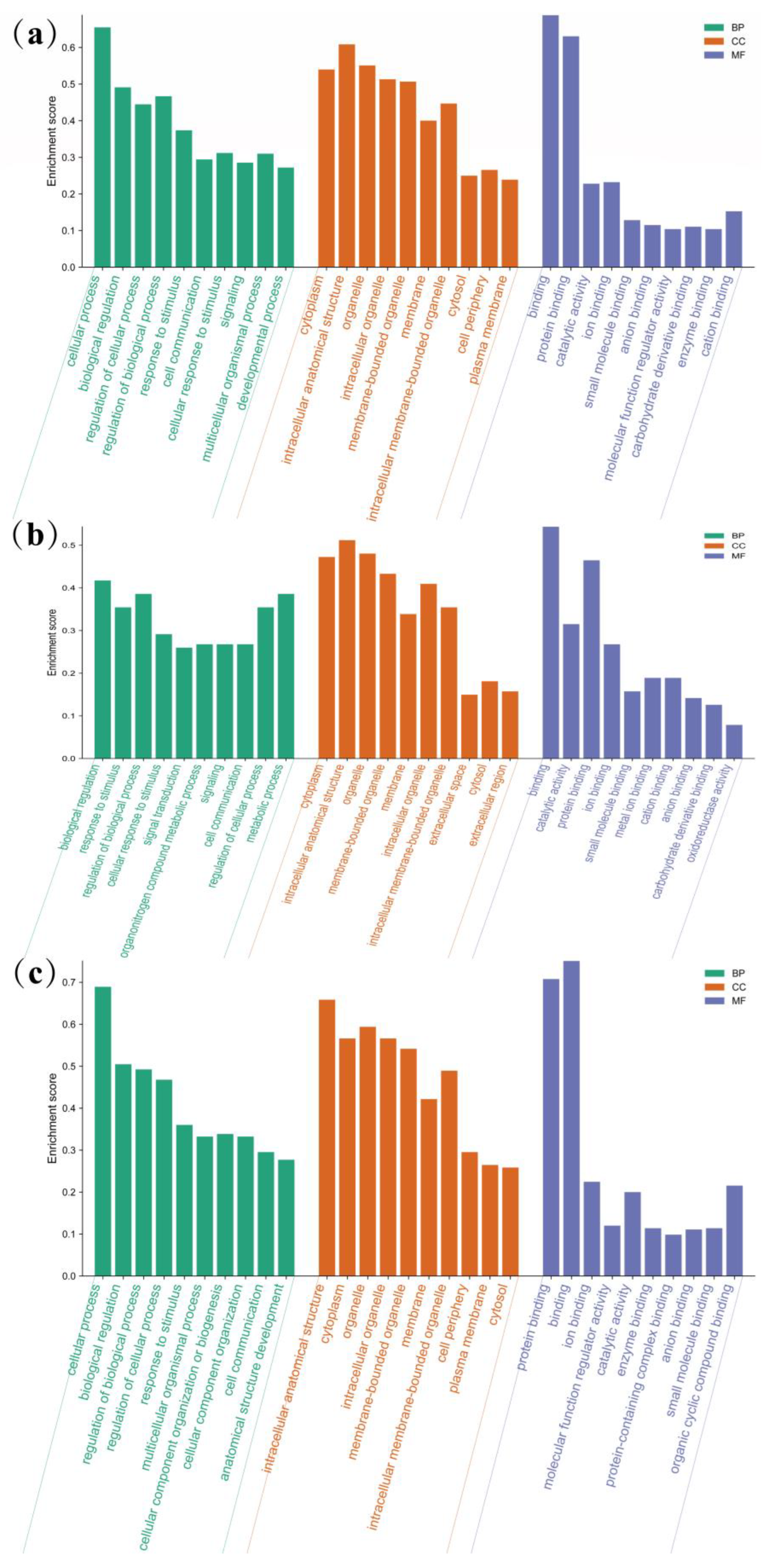 Animals 13 03473 g004