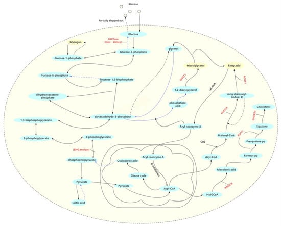 Animals 13 03473 g009