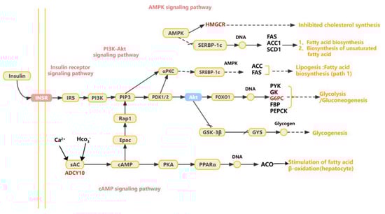 Animals 13 03473 g010