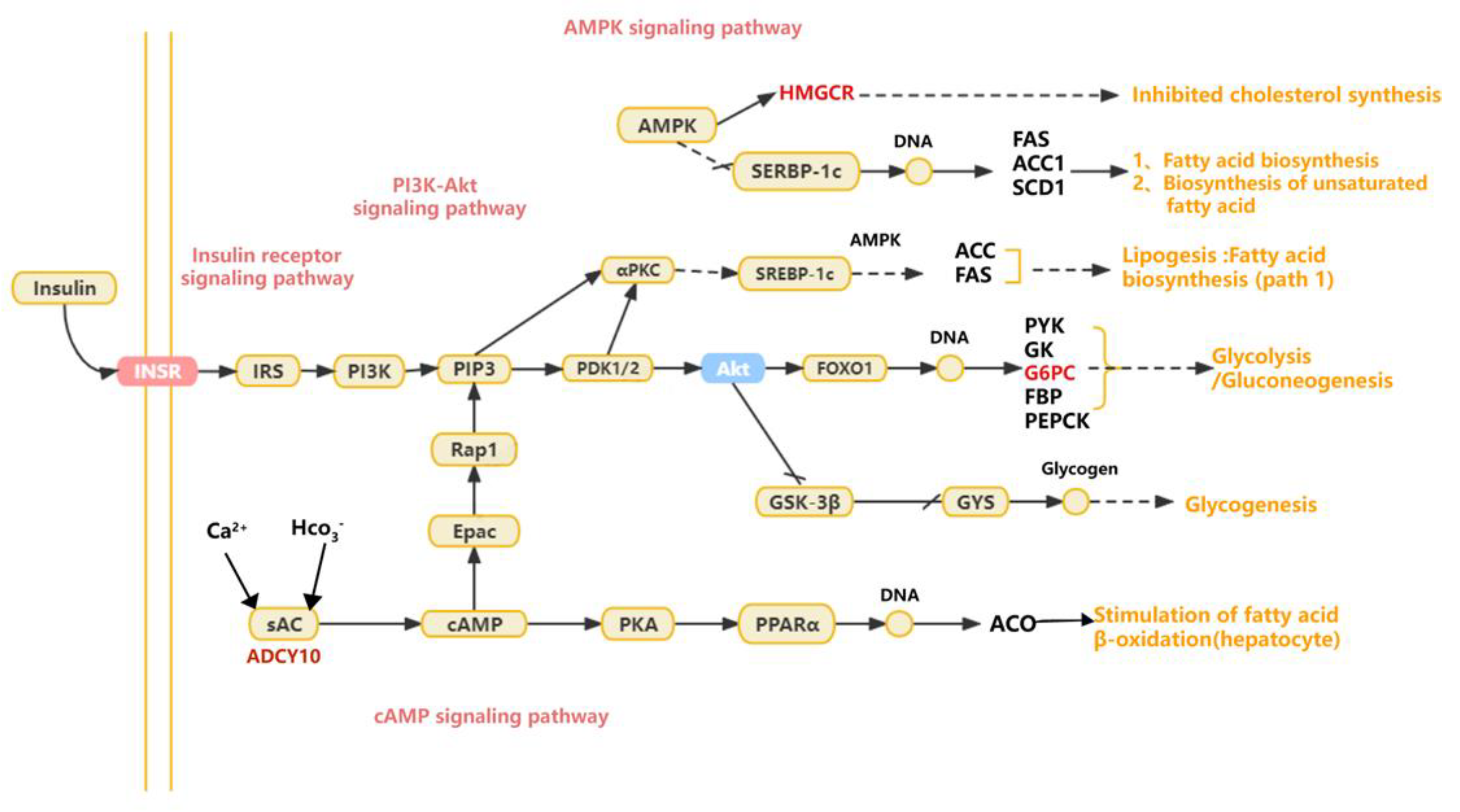 Animals 13 03473 g010