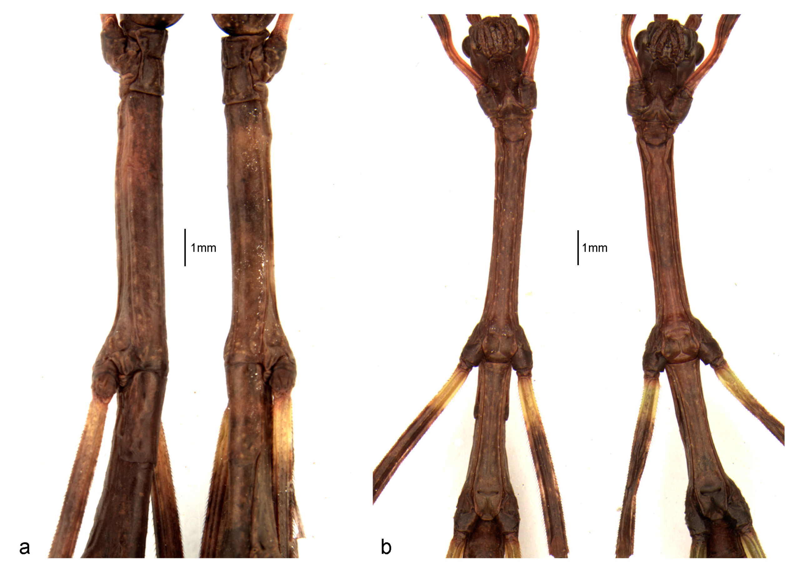 Animals 13 03474 g004