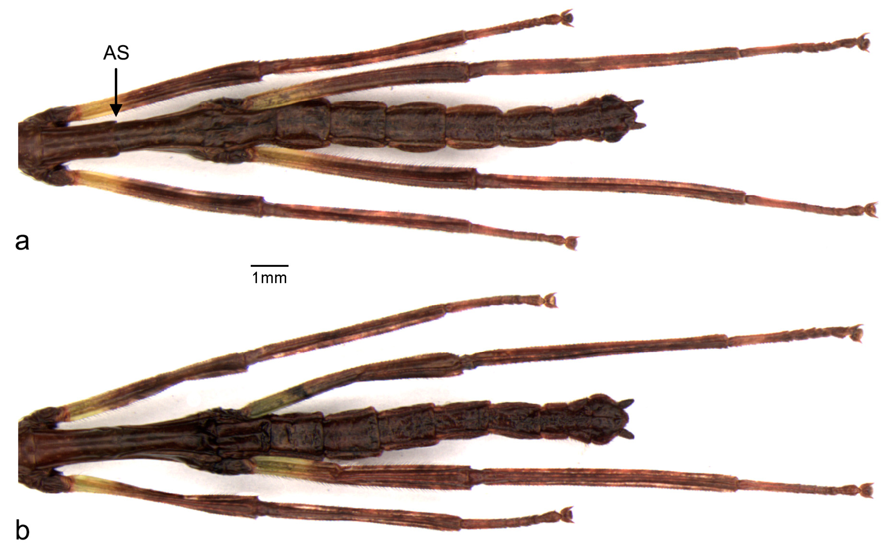 Animals 13 03474 g006