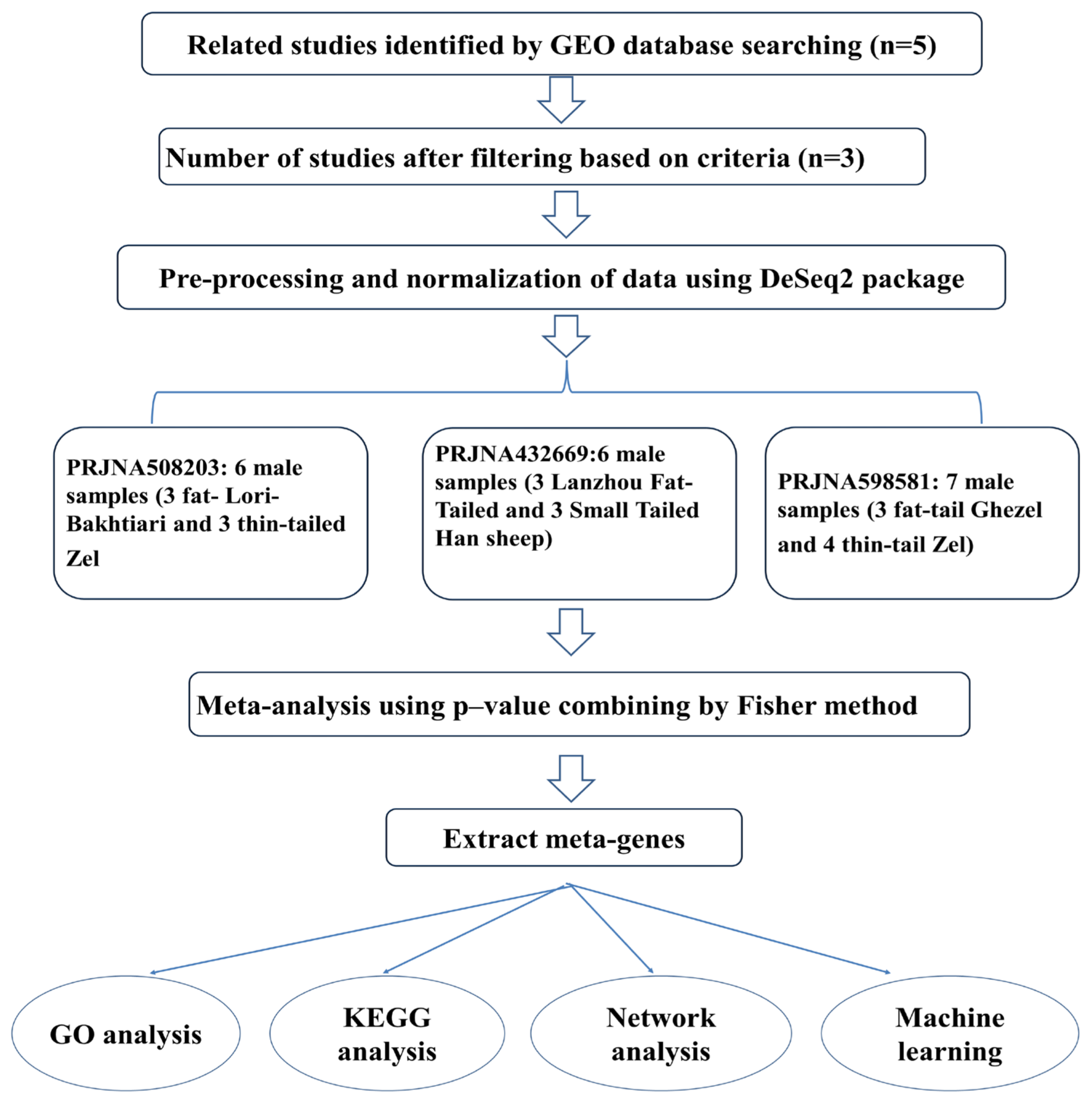 Animals 13 03475 g001