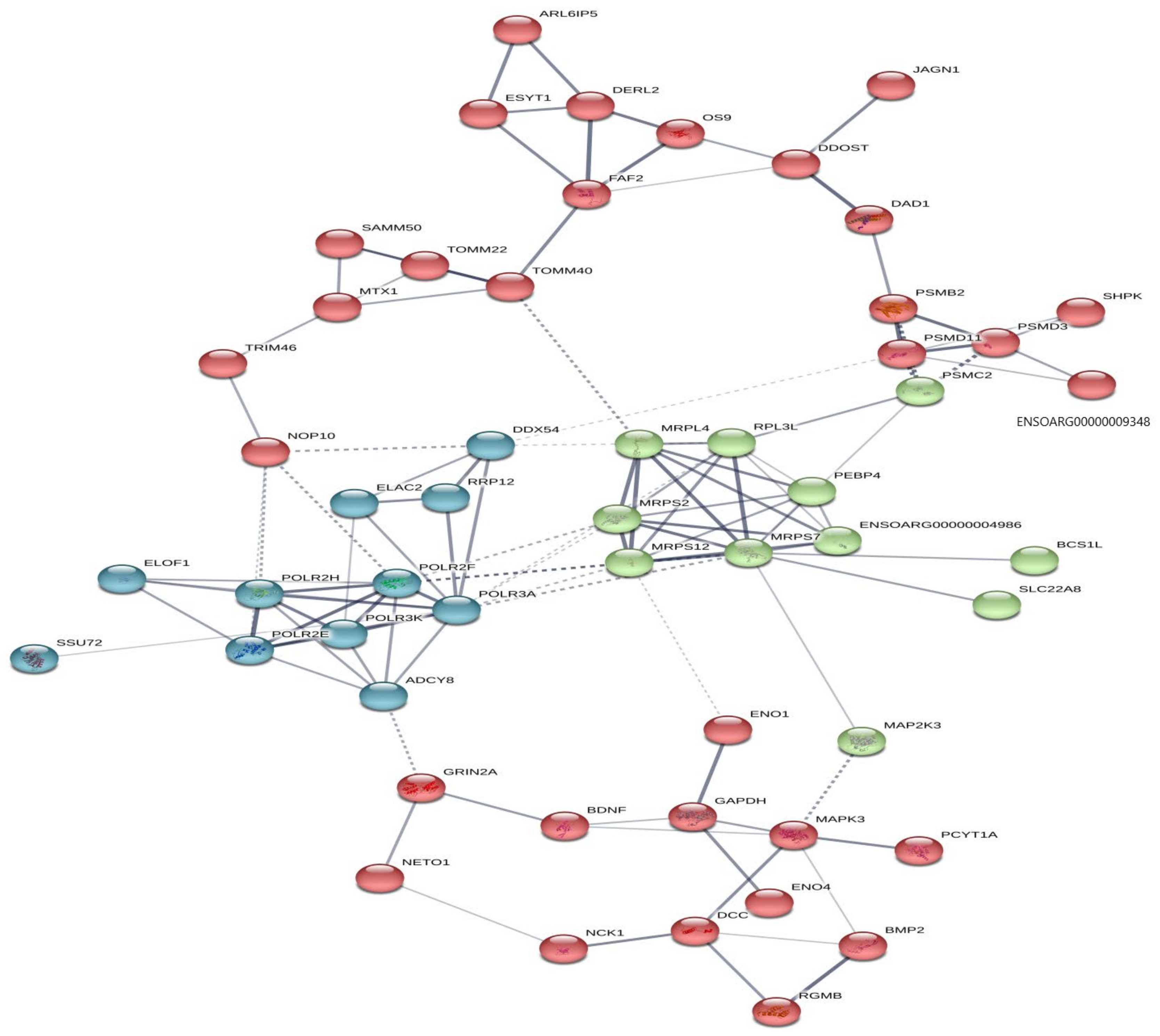 Animals 13 03475 g003