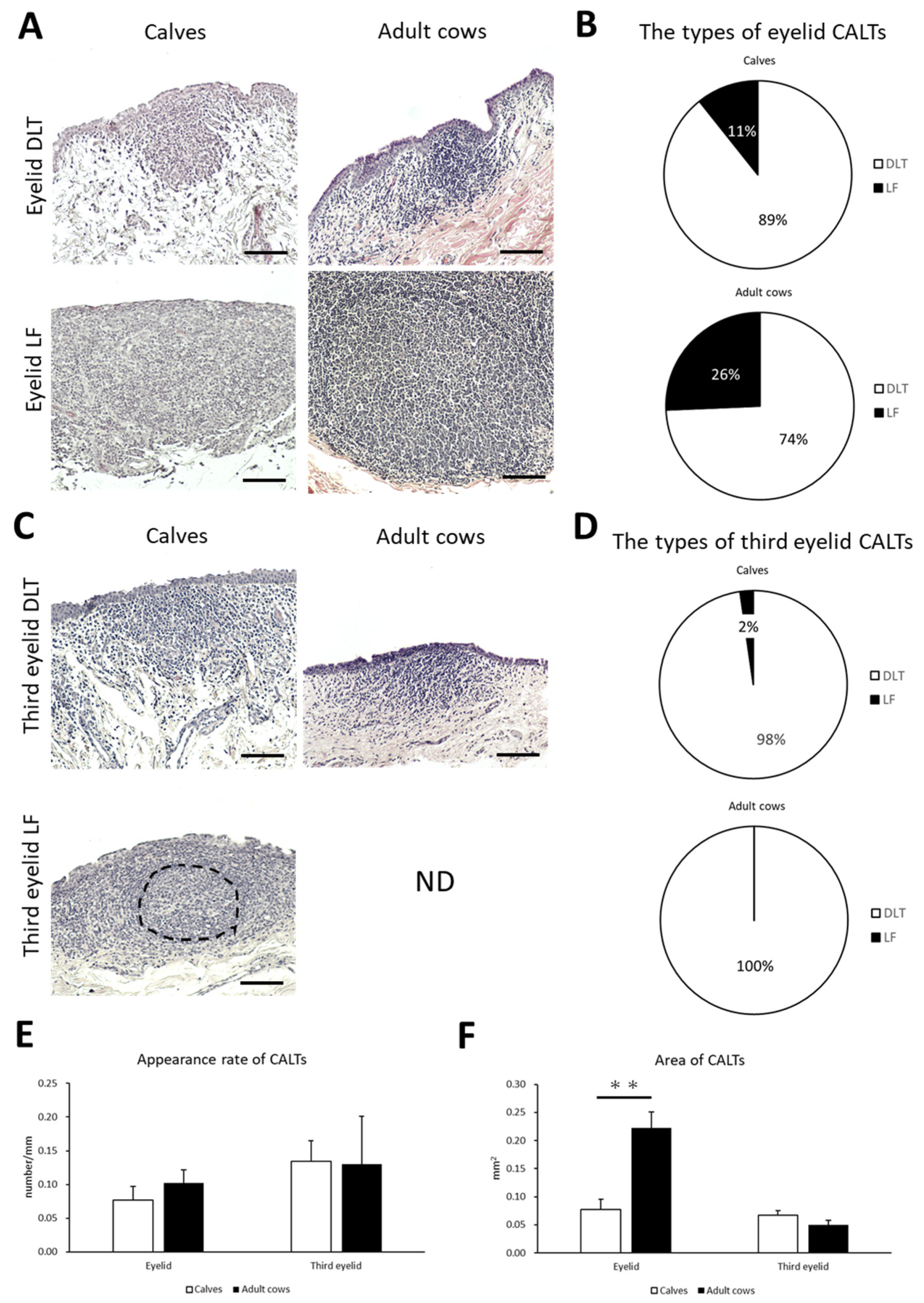 Animals 13 03481 g002 Animals 13 03481 g002
