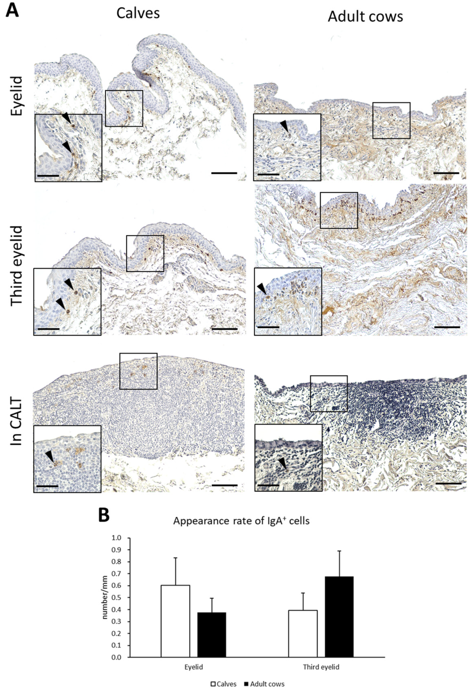 Animals 13 03481 g006 Animals 13 03481 g006