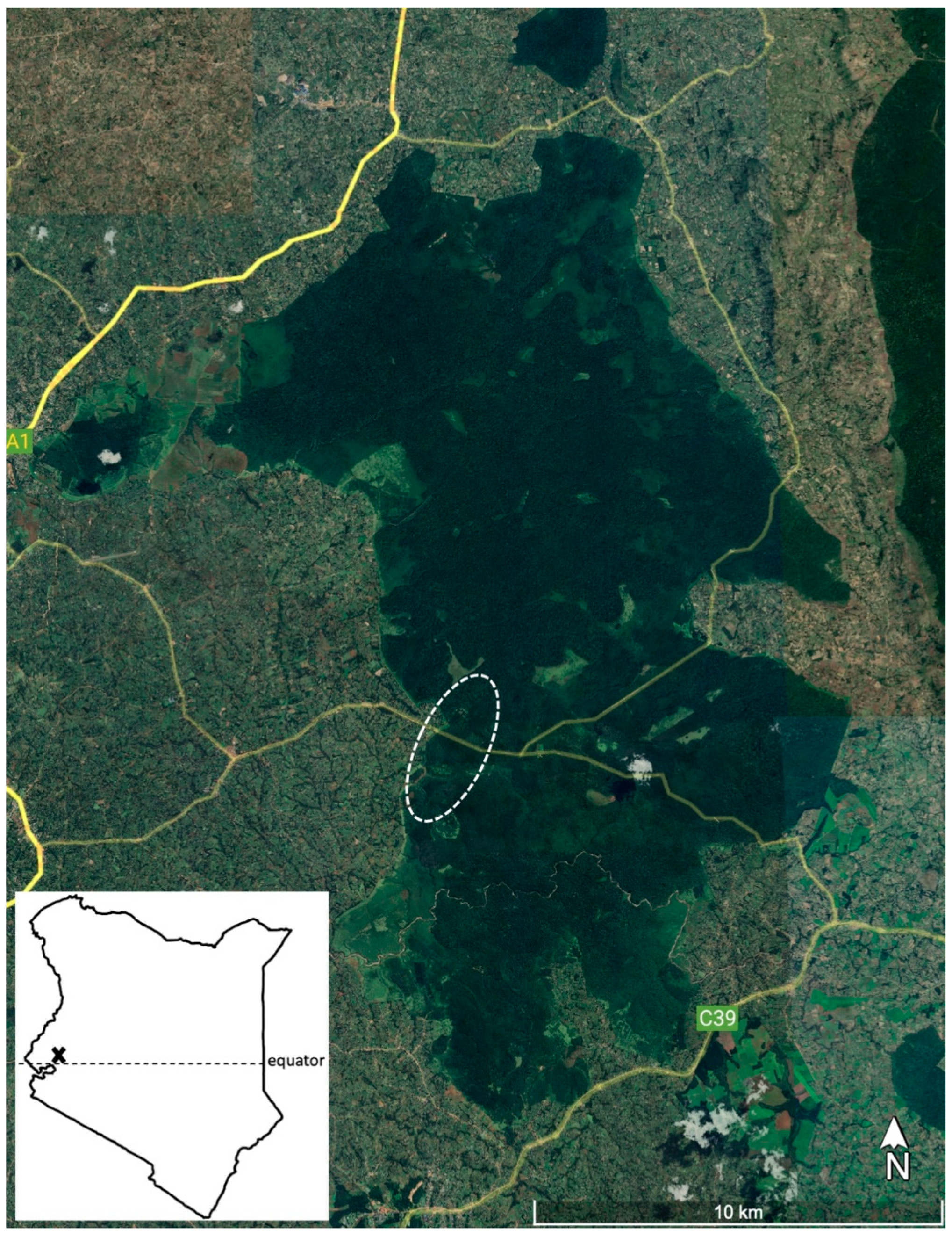 Animals 13 03483 g001