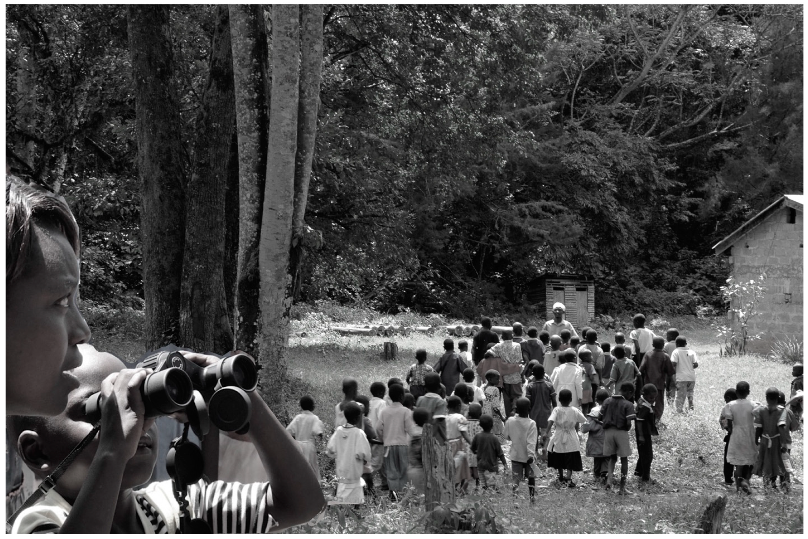 Animals 13 03483 g002