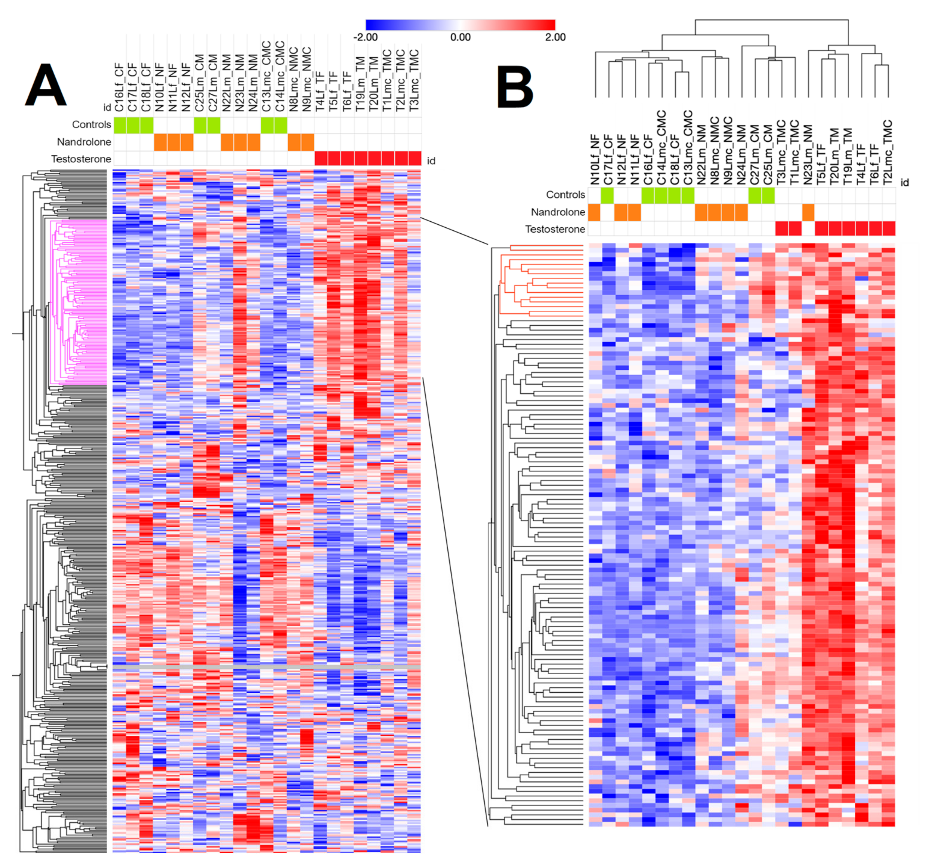 Animals 13 03495 g001