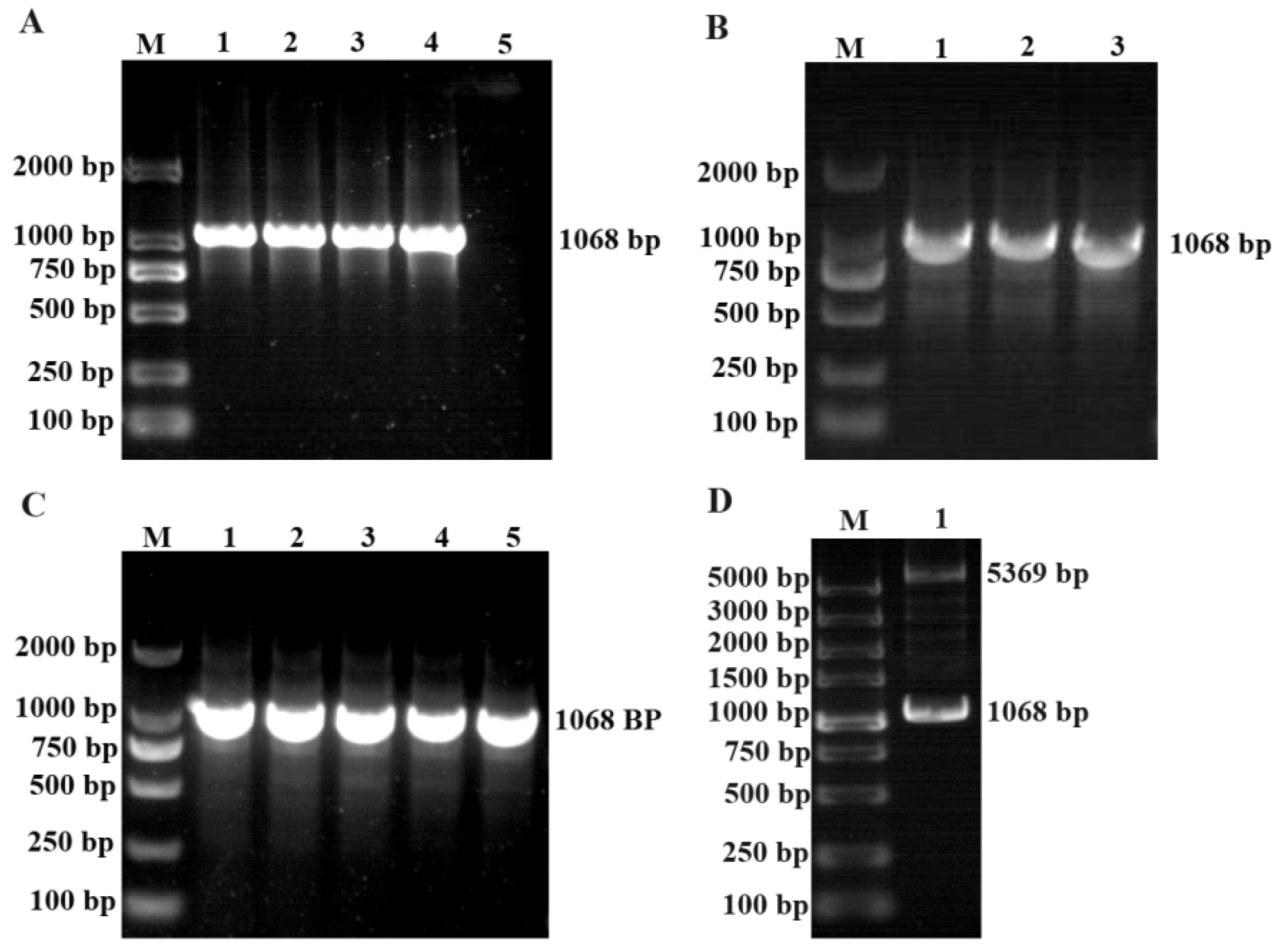 Animals 13 03500 g001