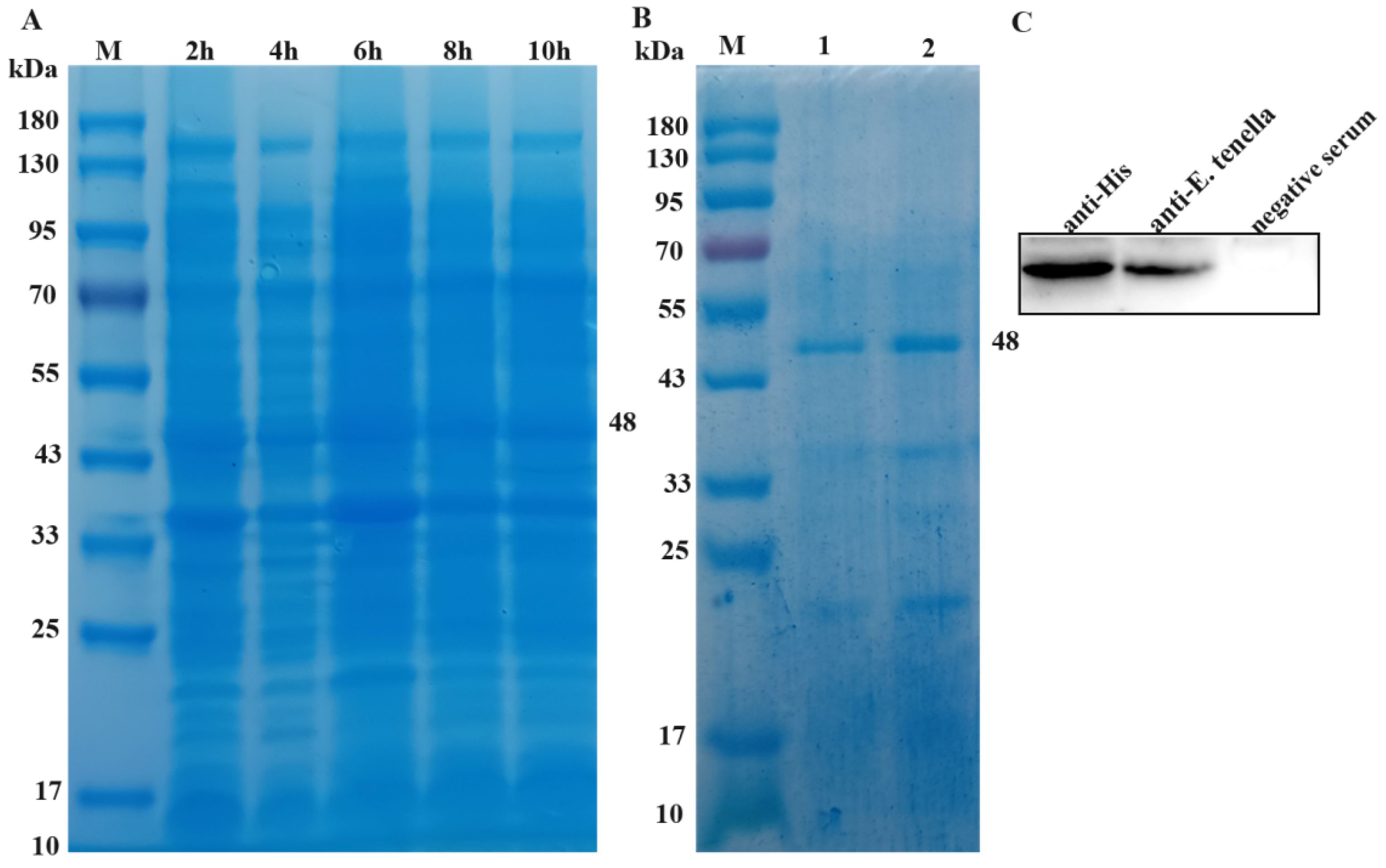 Animals 13 03500 g002