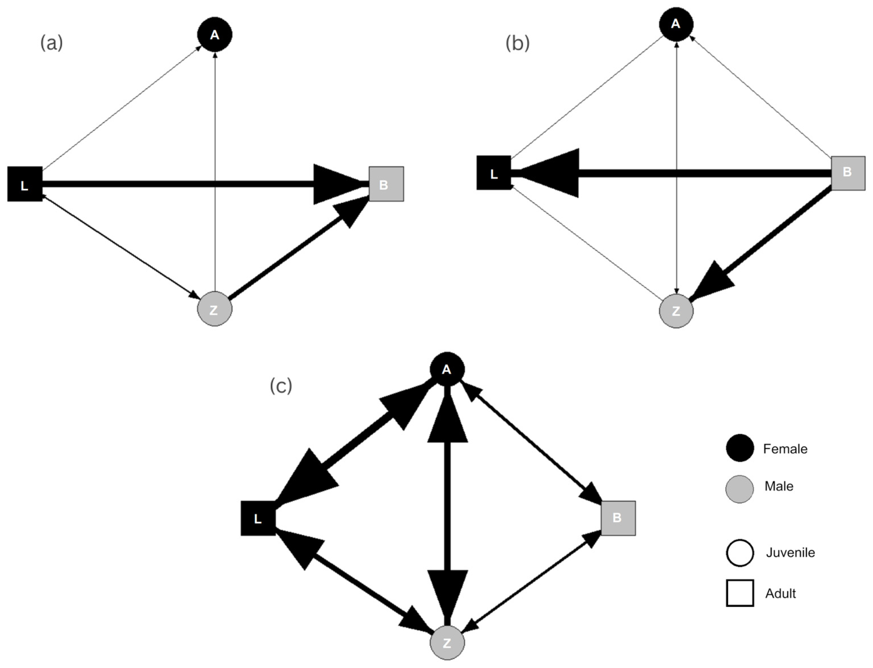 Animals 13 03501 g003