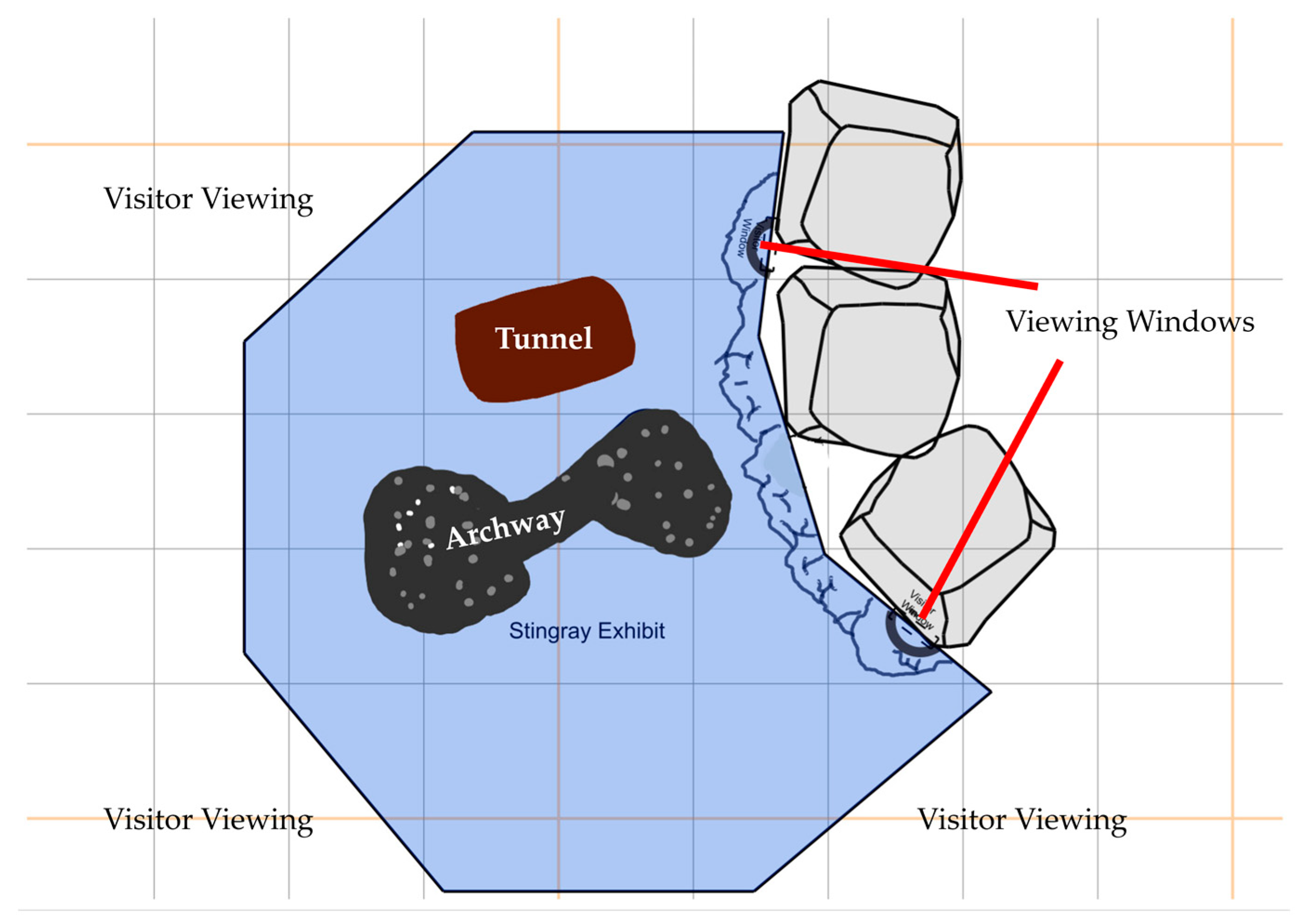 Animals 13 03526 g001