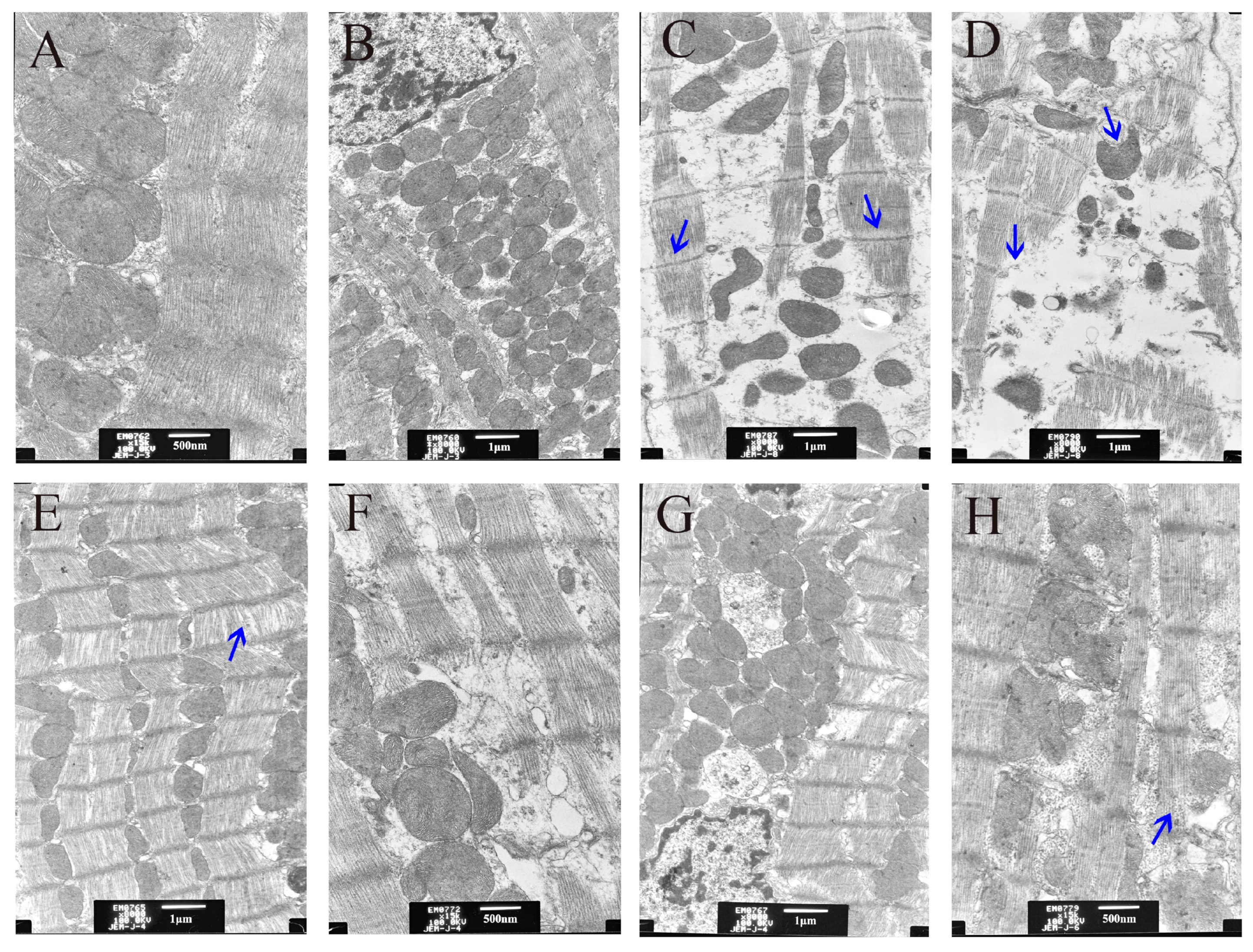 Animals 13 03527 g004