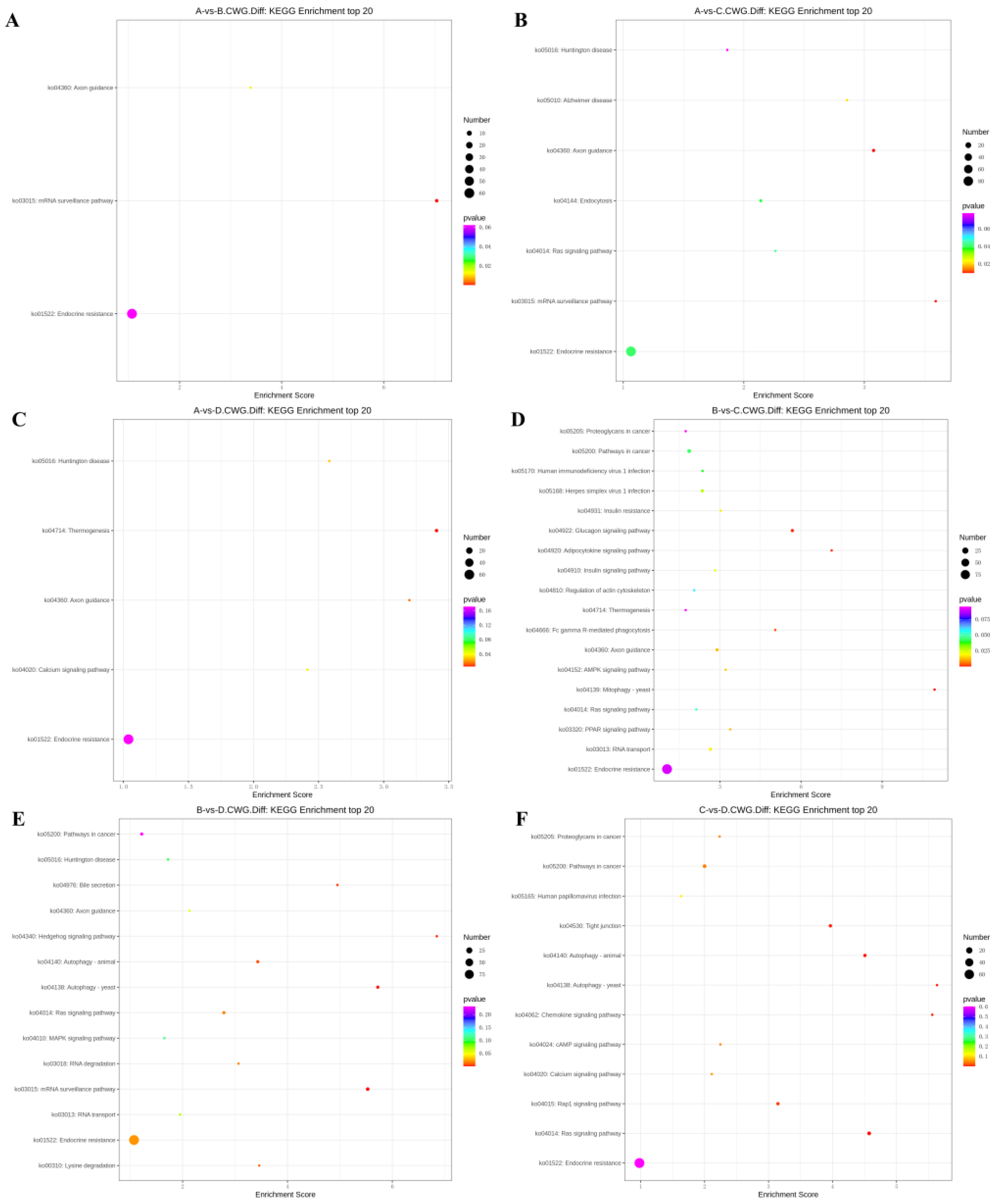 Animals 13 03530 g005