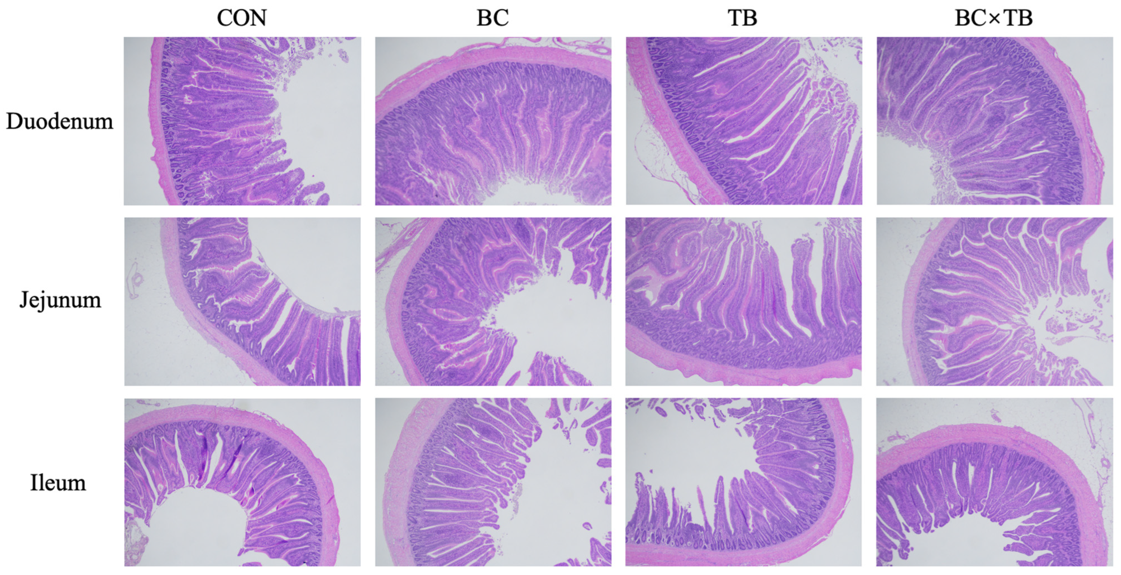 Animals 13 03534 g001