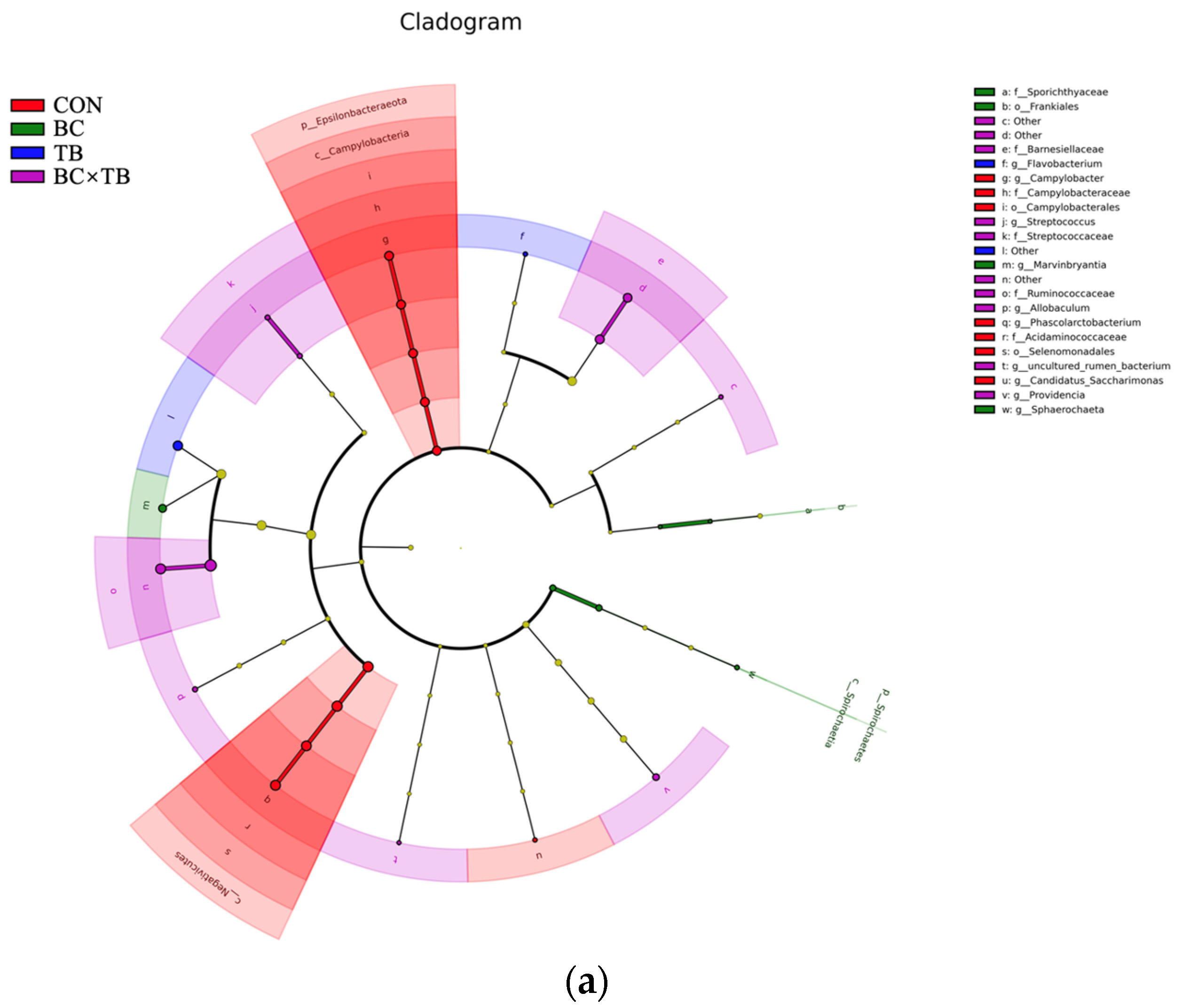 Animals 13 03534 g006a