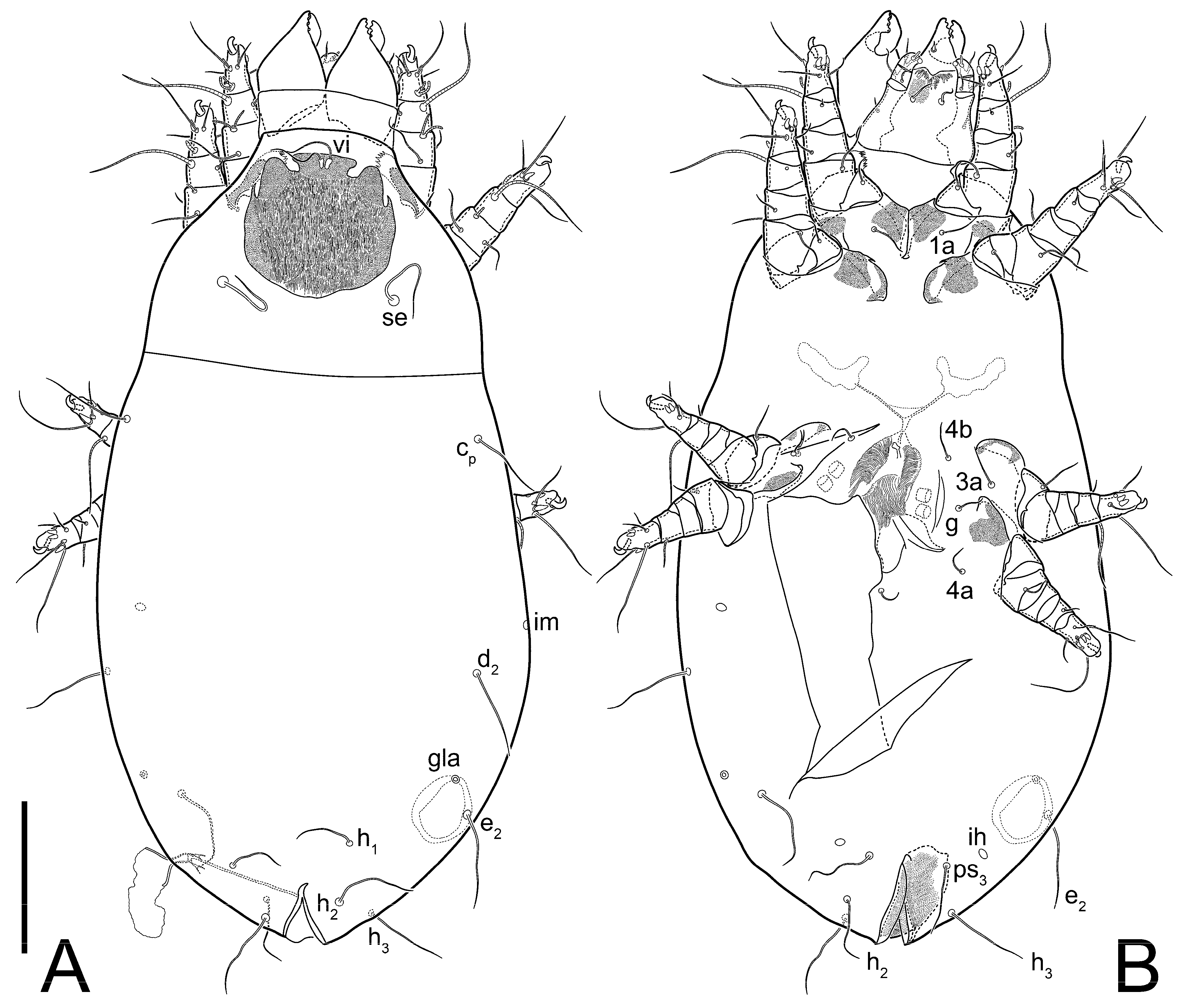 Animals 13 03546 g001