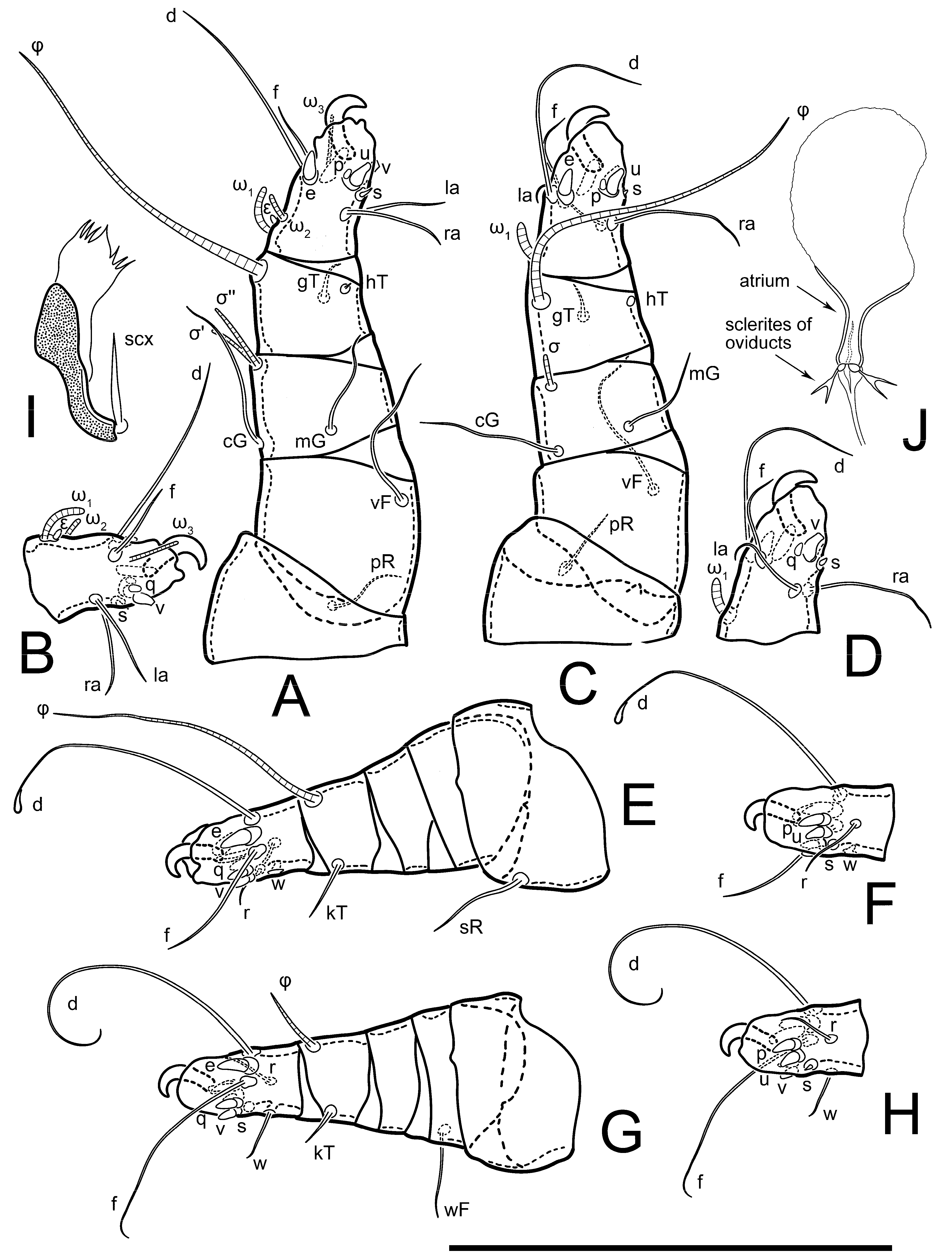 Animals 13 03546 g002