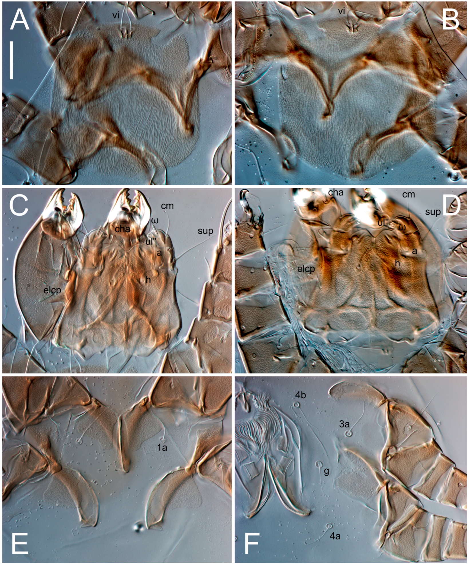 Animals 13 03546 g004