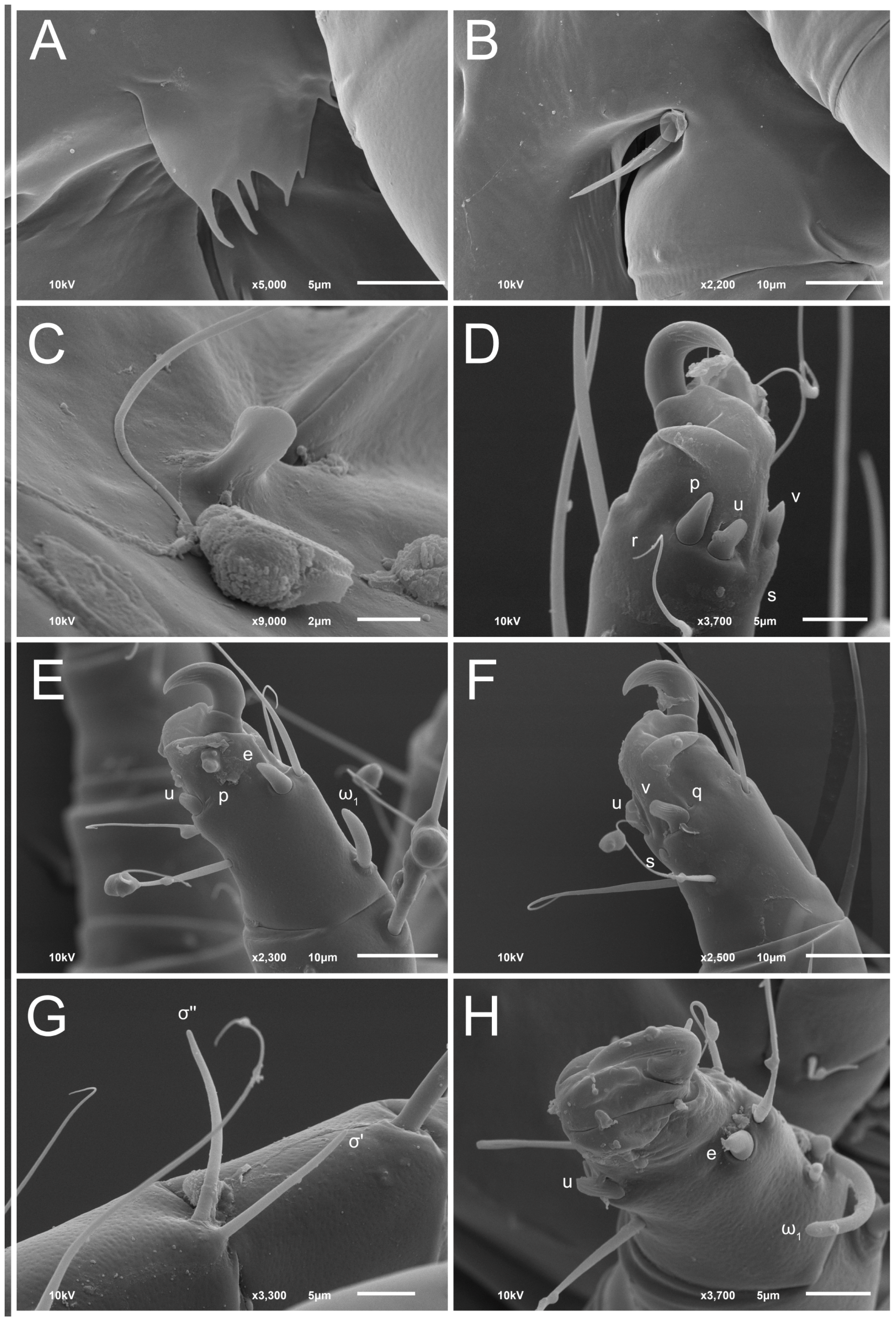 Animals 13 03546 g009