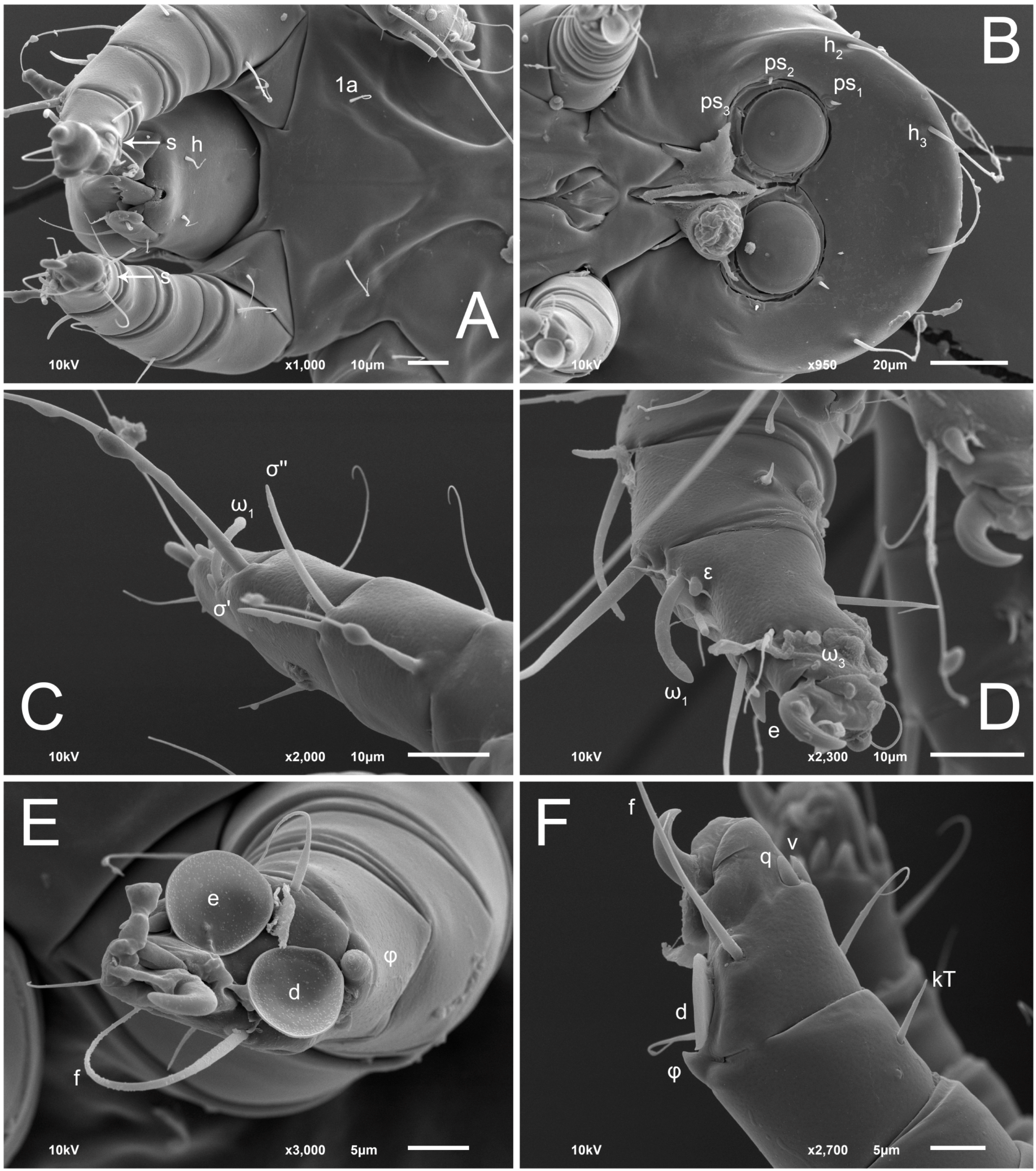 Animals 13 03546 g015