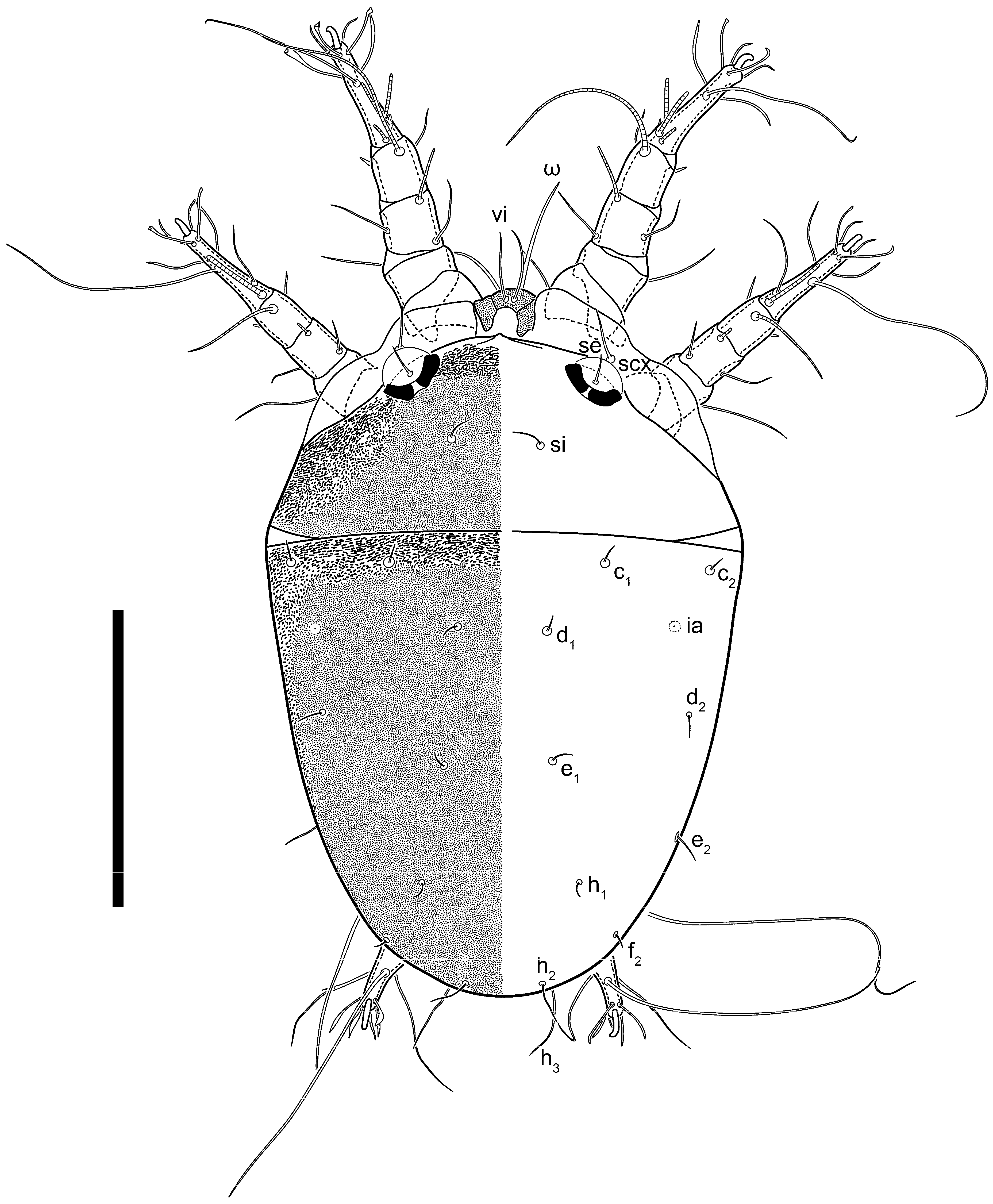 Animals 13 03546 g016