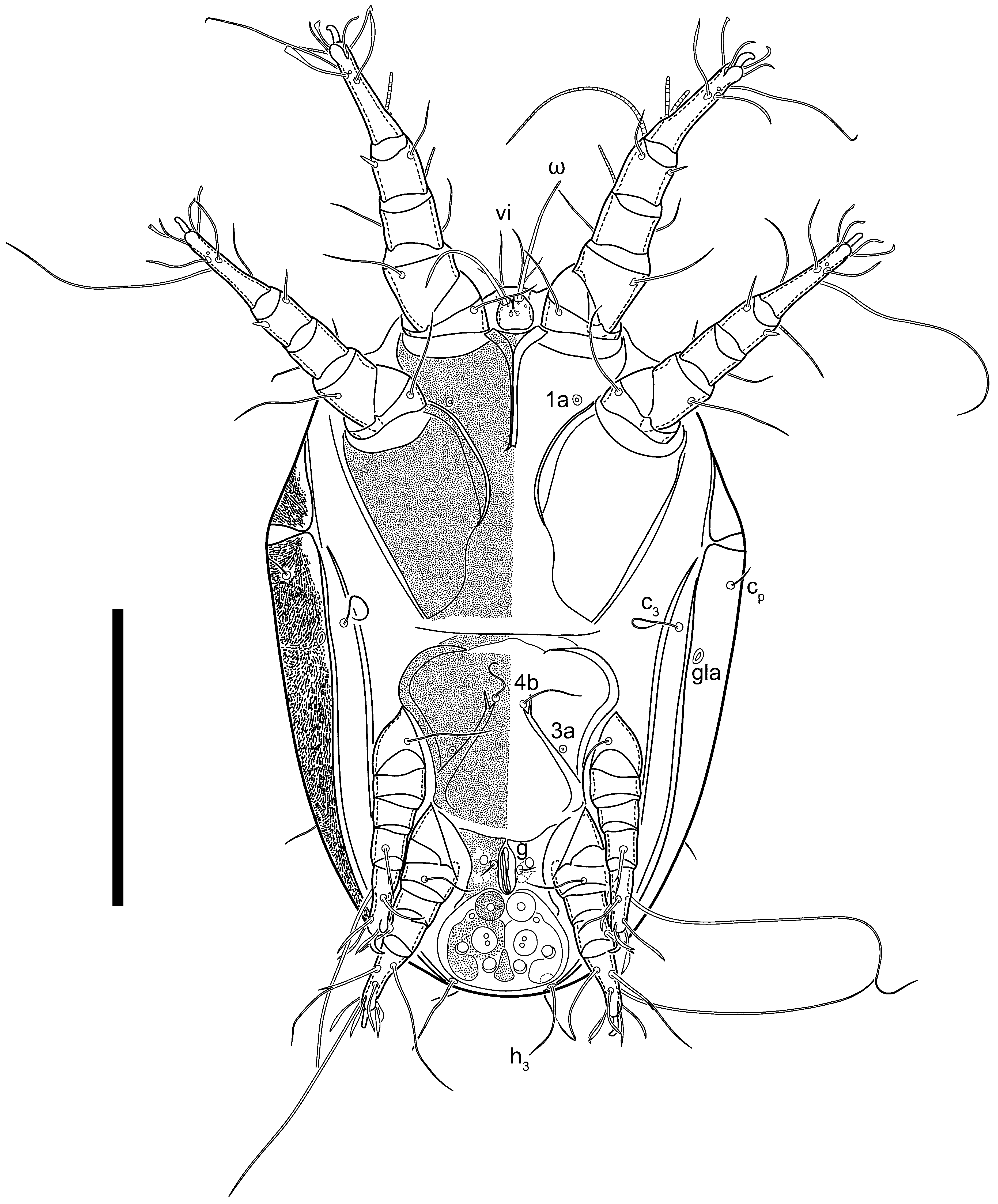 Animals 13 03546 g017