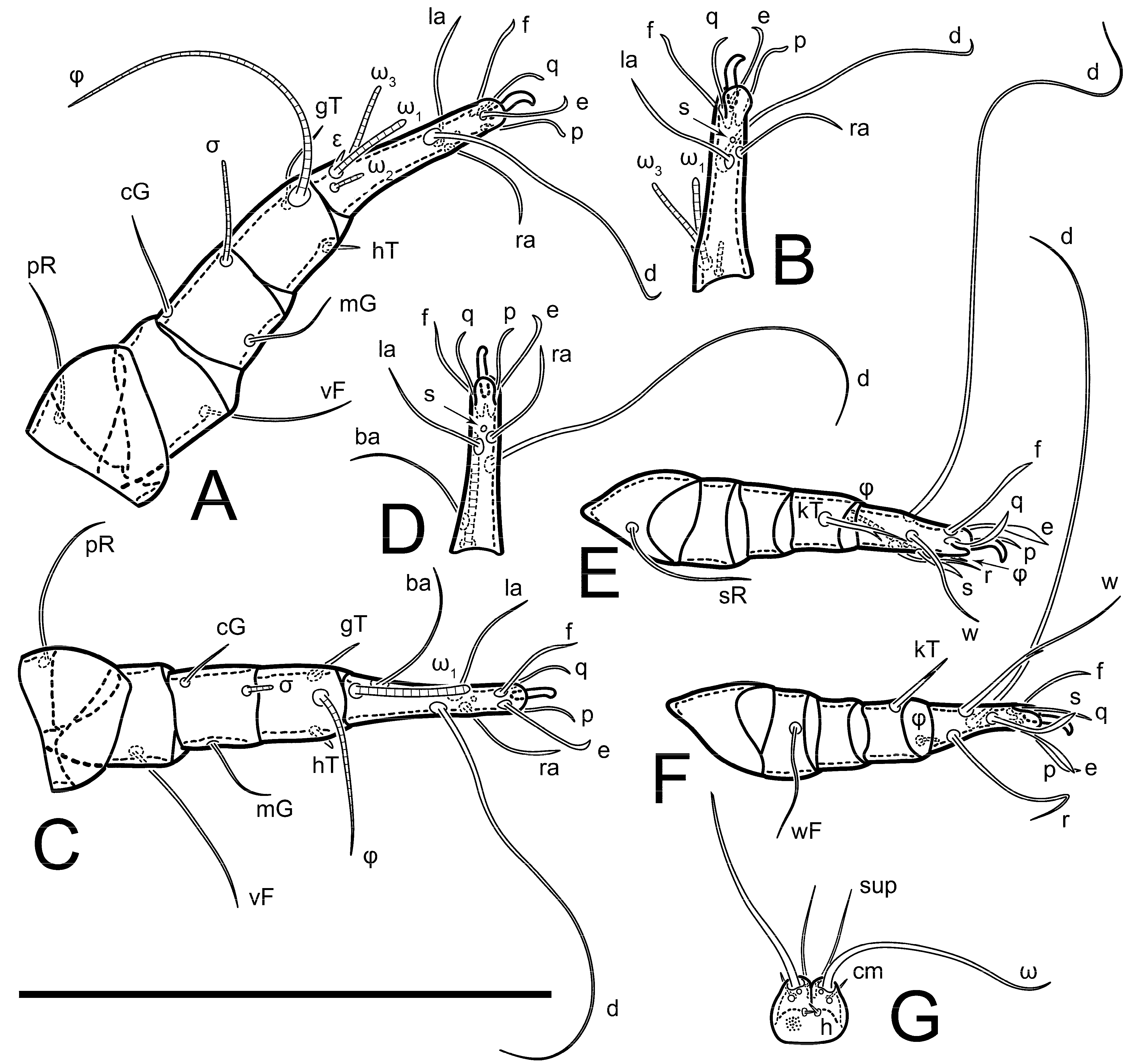 Animals 13 03546 g018