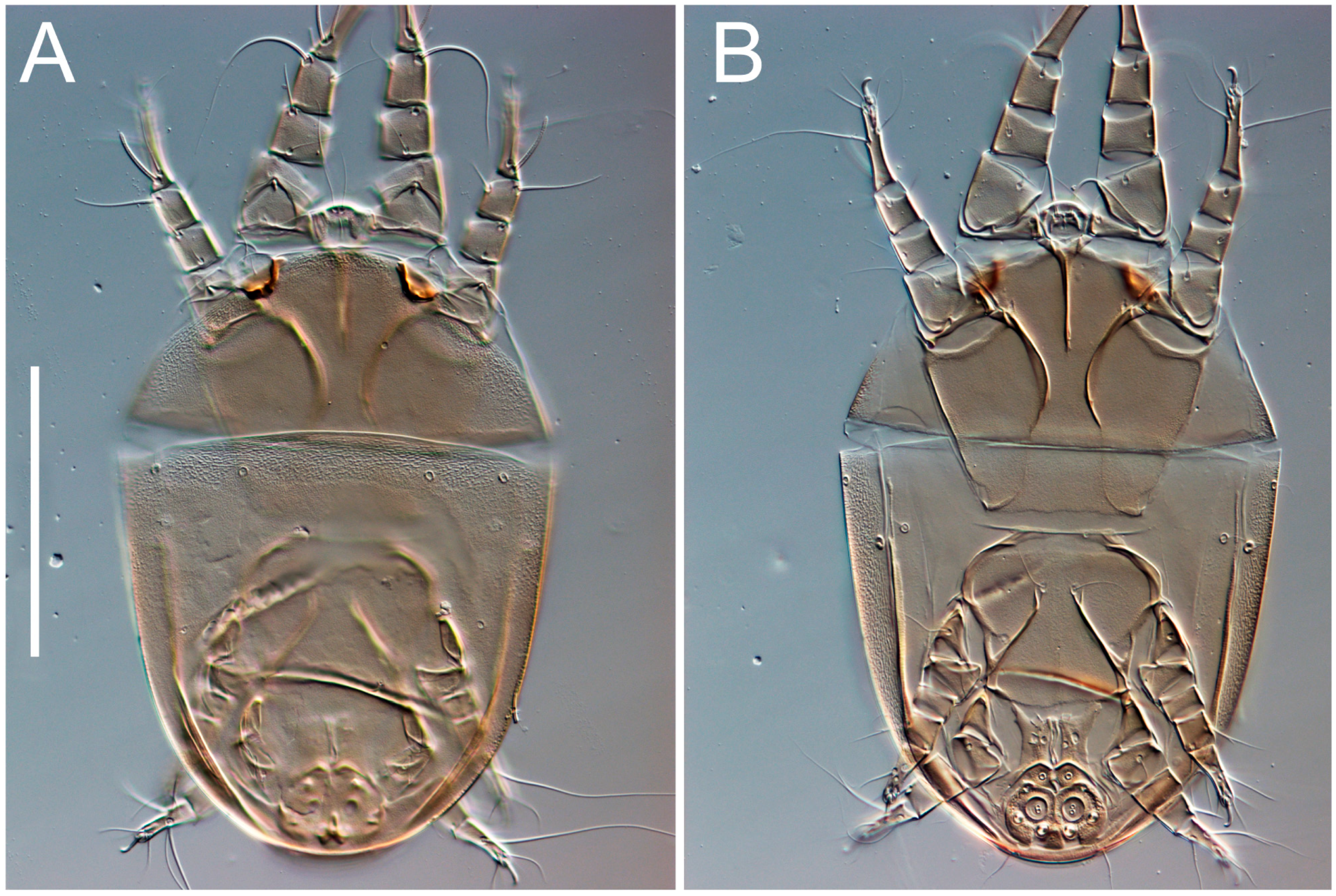 Animals 13 03546 g019