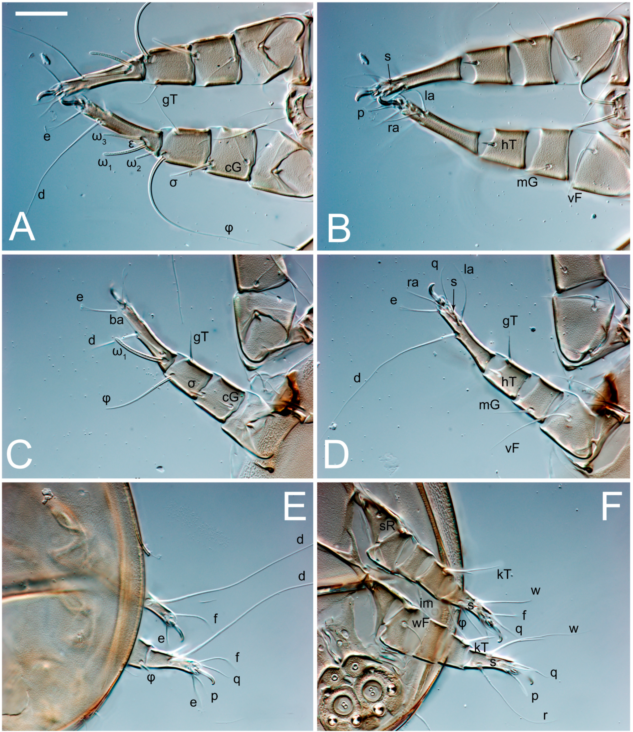 Animals 13 03546 g021