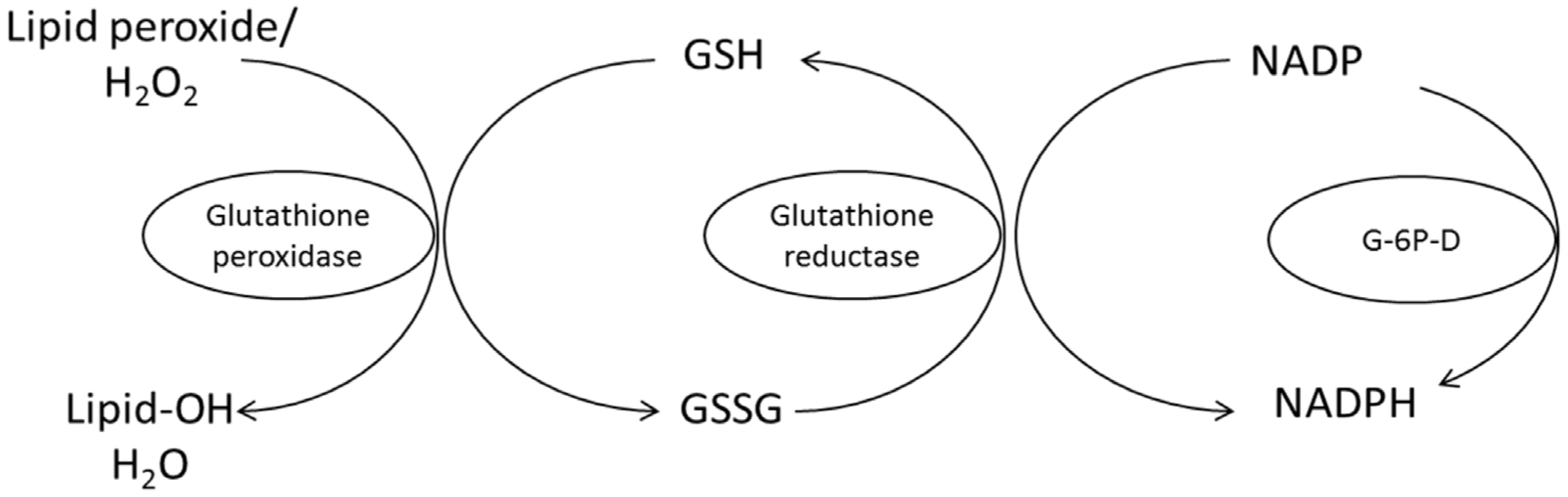 Animals 13 03554 g004