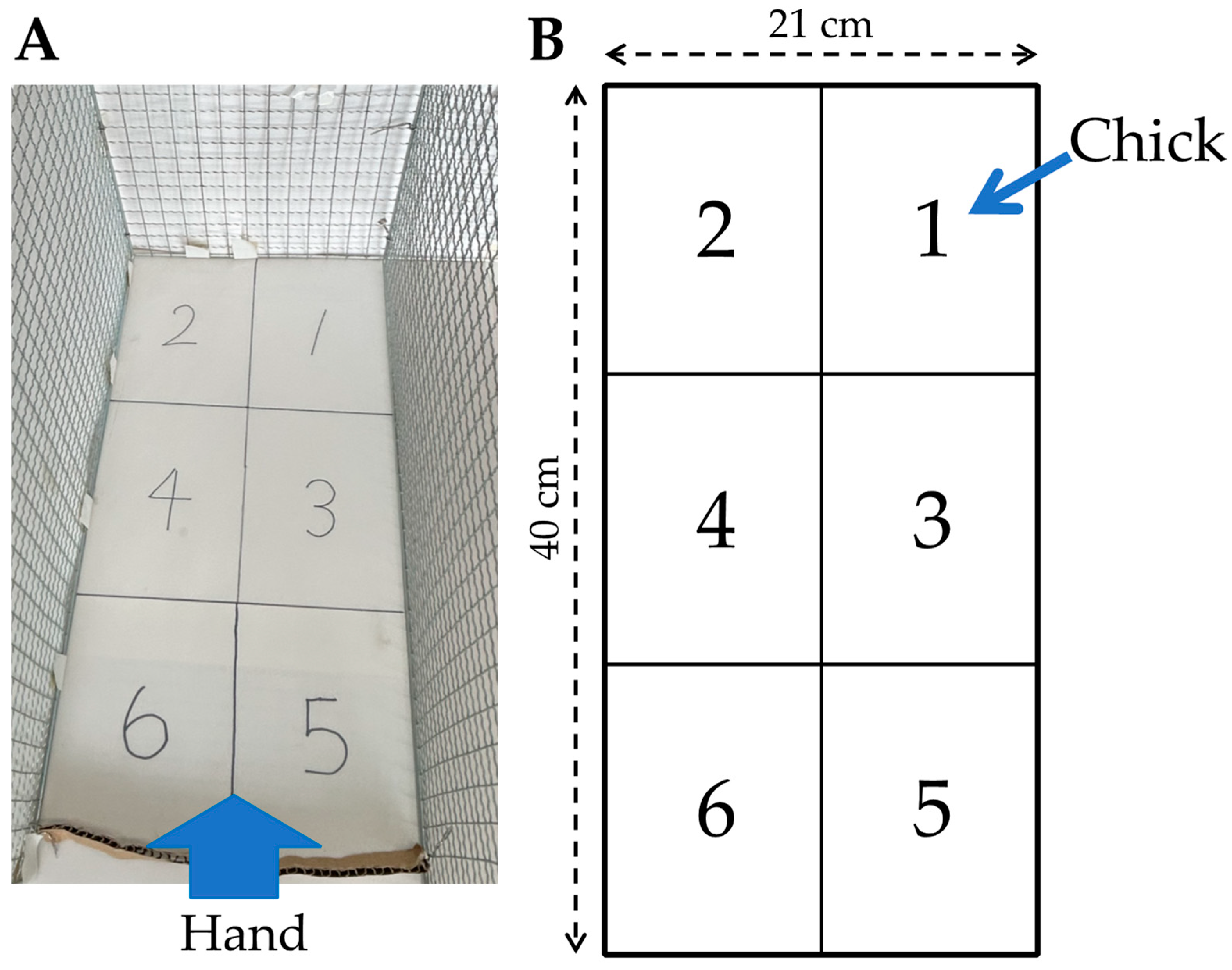 Animals 13 03556 g001