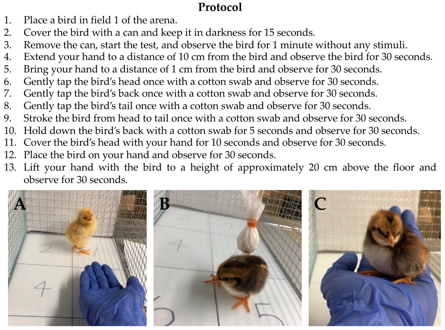 Animals 13 03556 g002