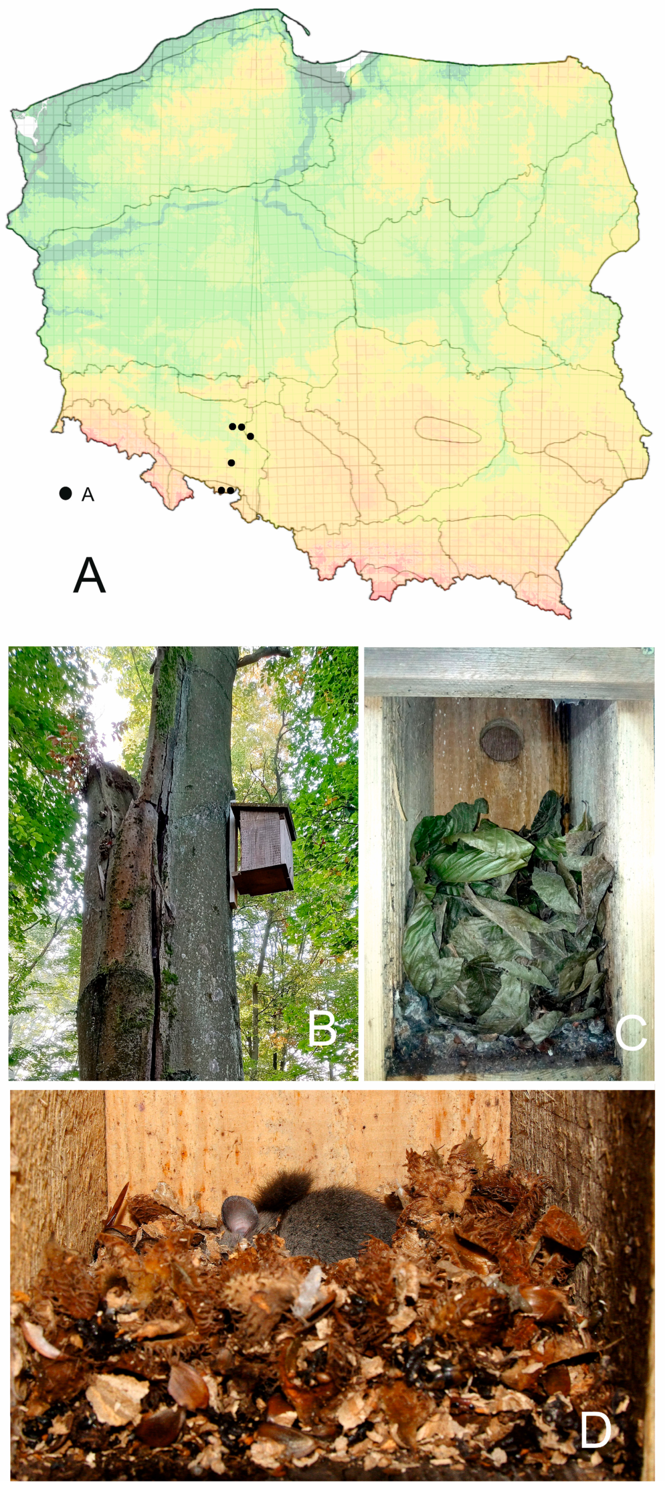 Animals 13 03567 g001