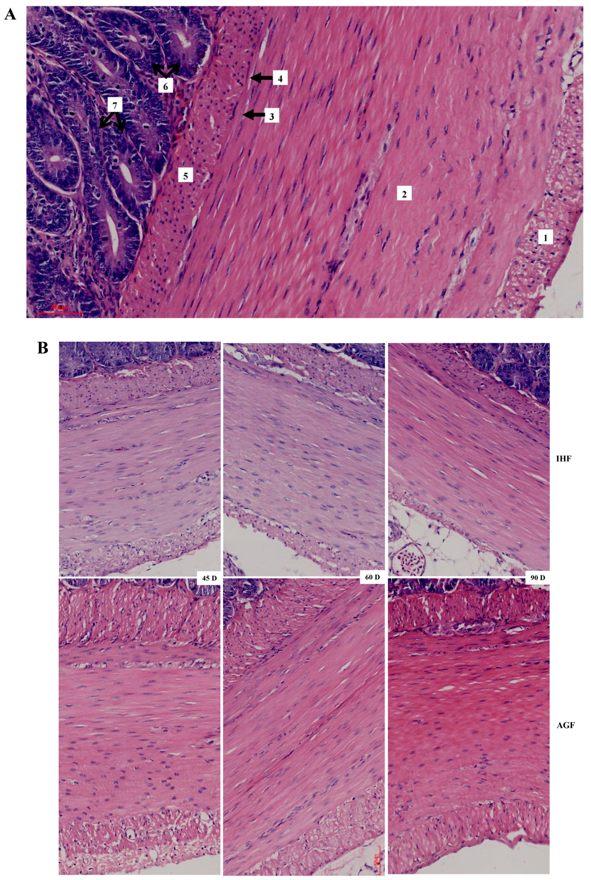 Animals 13 03574 g003