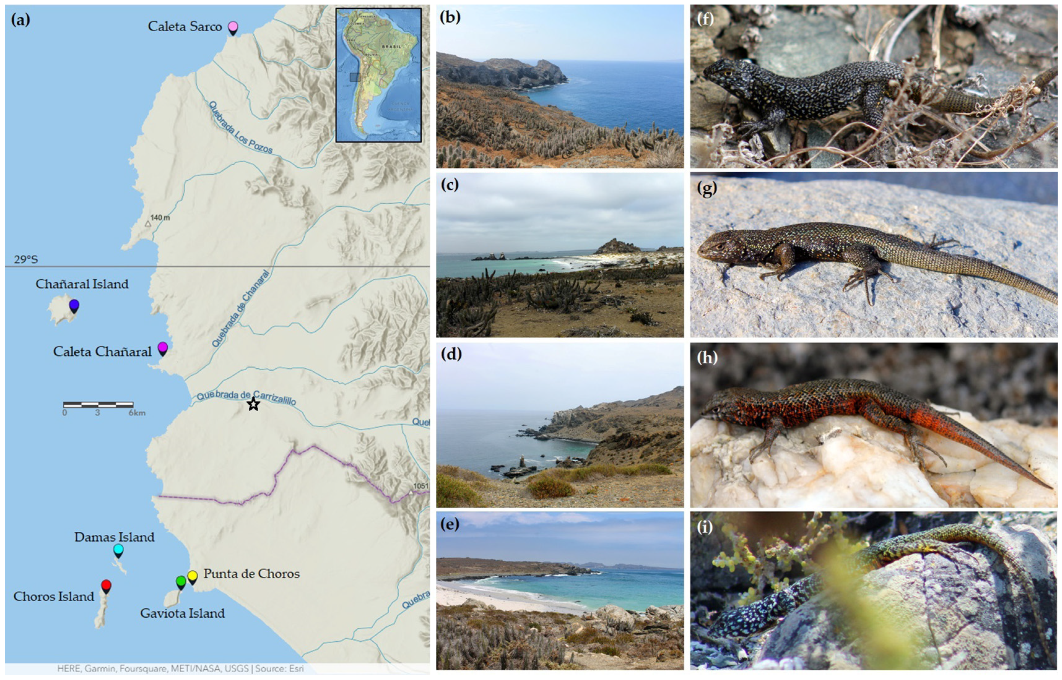 Animals 13 03576 g001