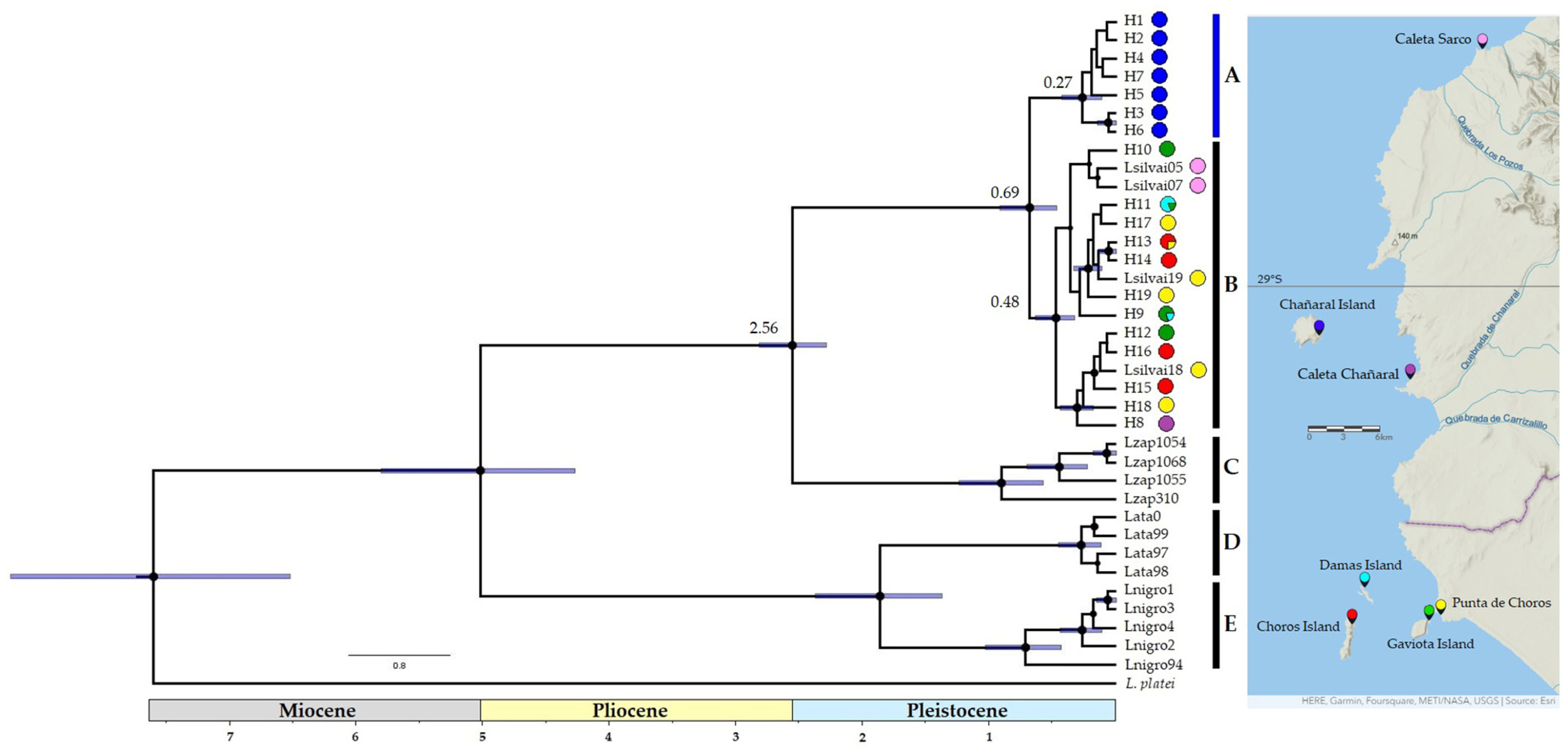 Animals 13 03576 g002