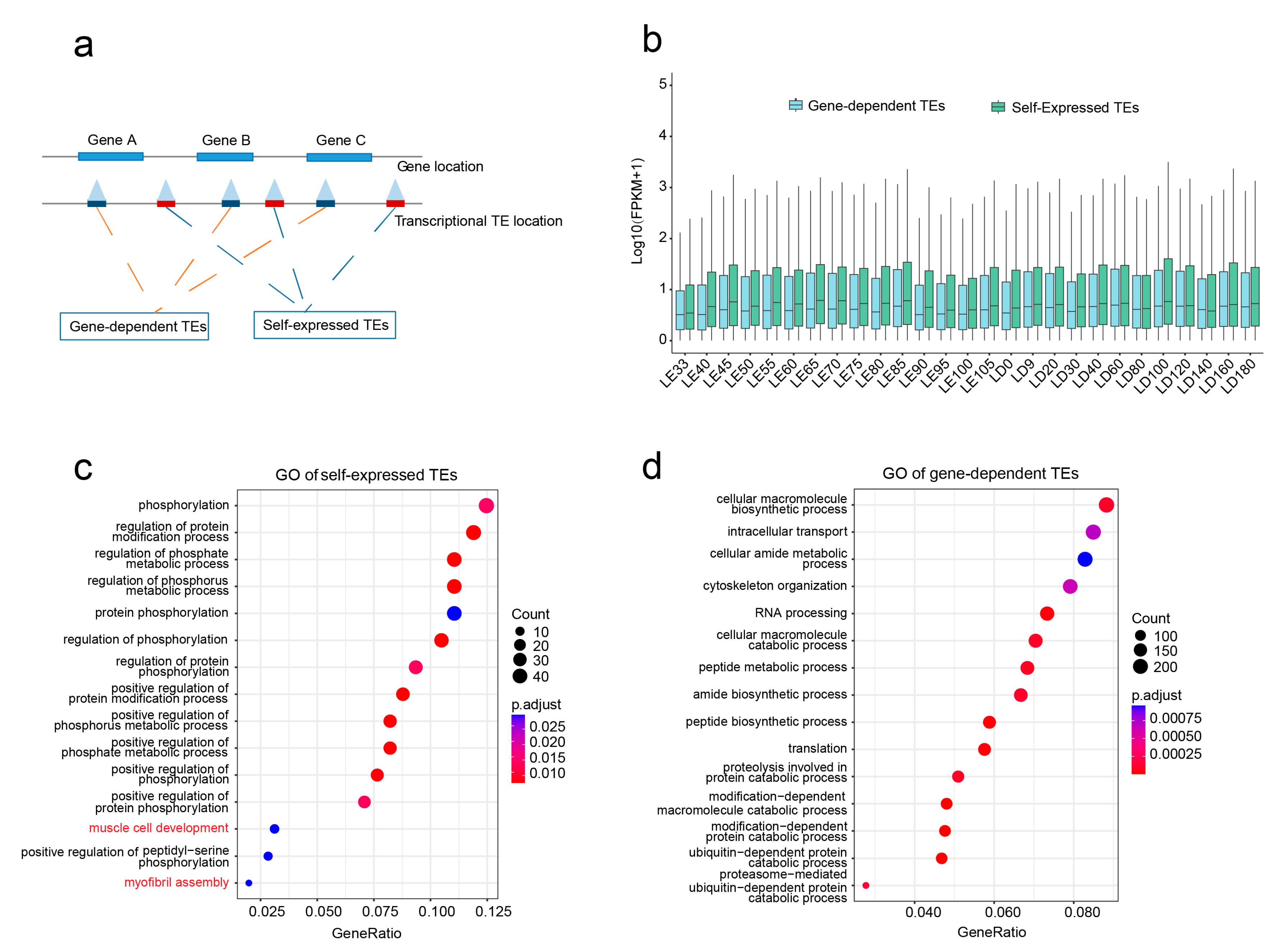 Animals 13 03581 g003