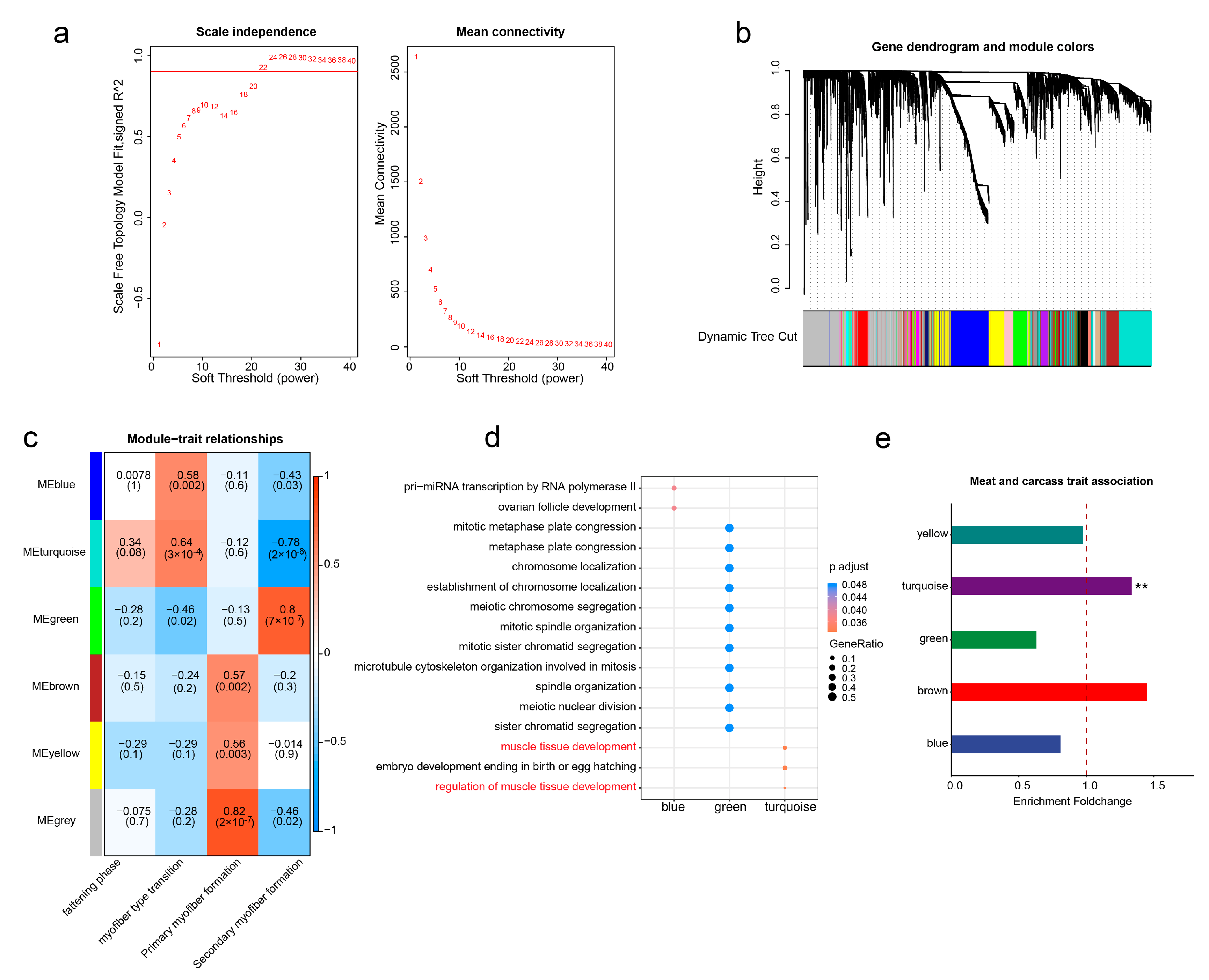 Animals 13 03581 g004
