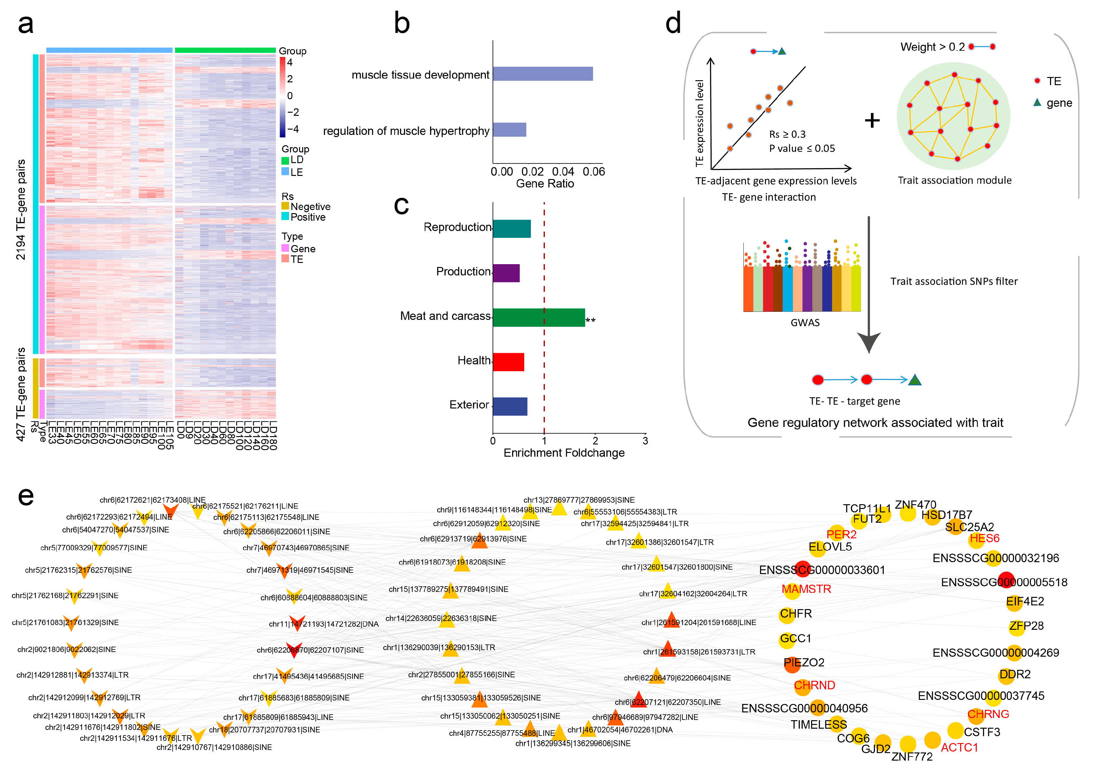 Animals 13 03581 g005