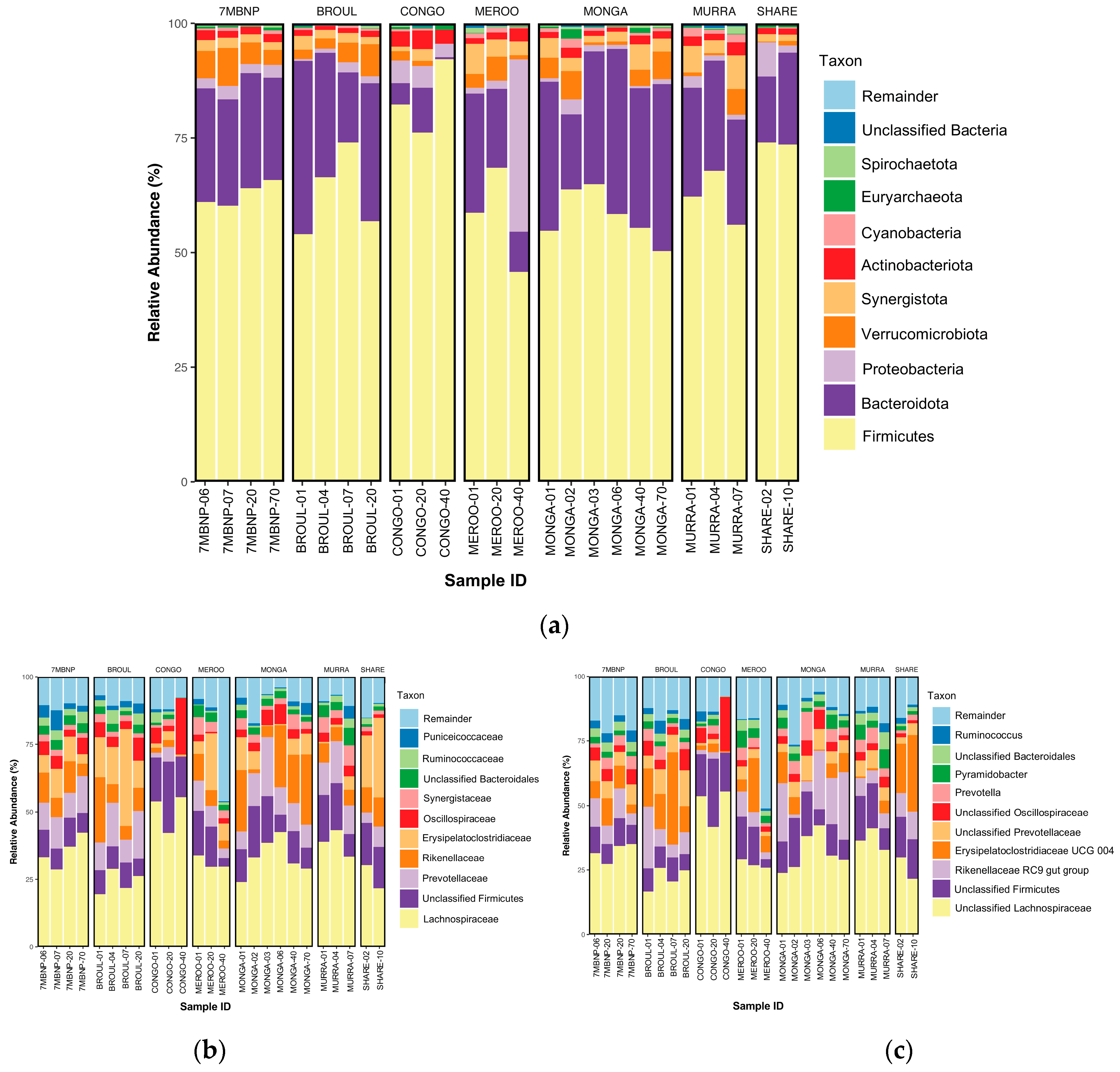Animals 13 03583 g004